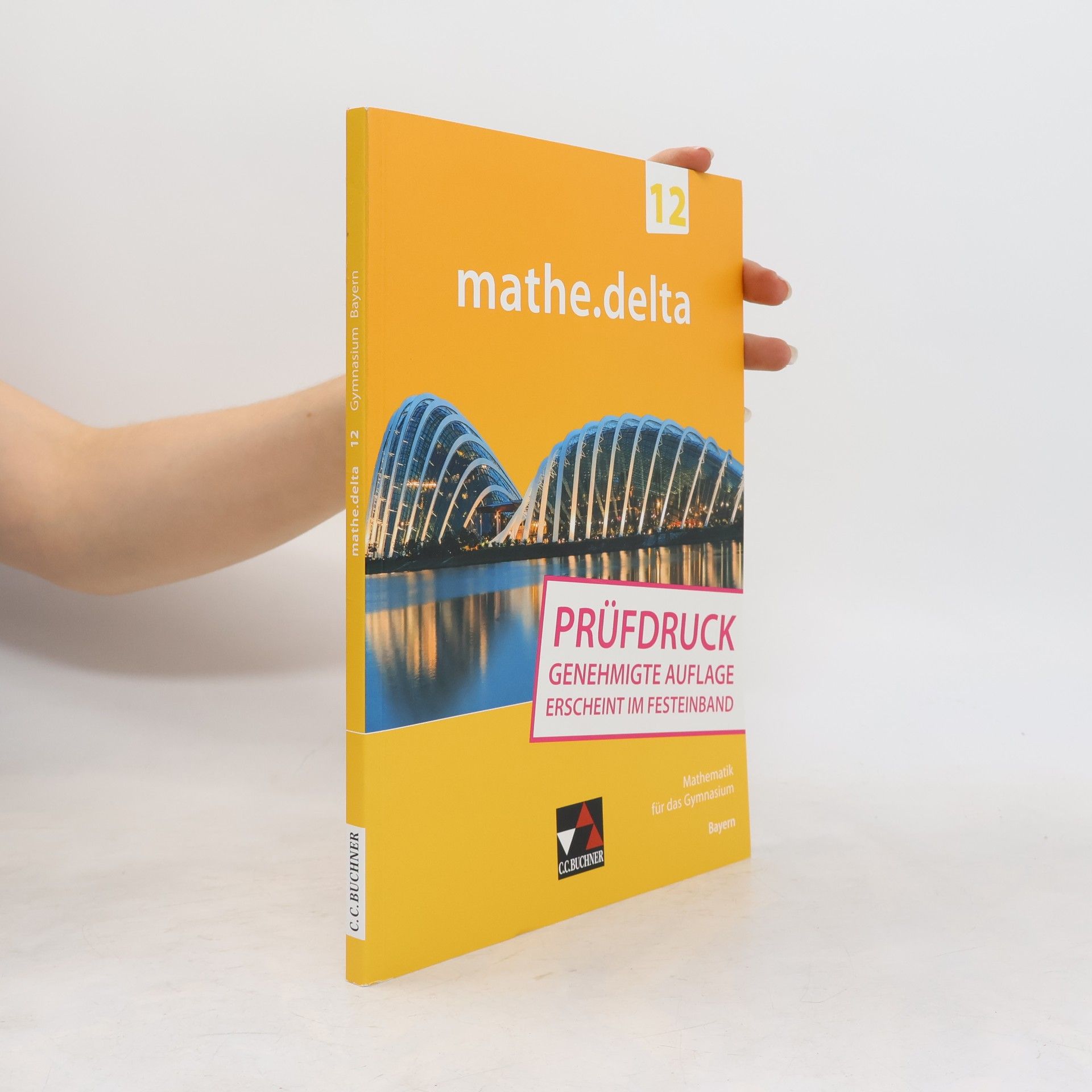 Martina Schmidt-Kessel mathe.delta Bayern 12