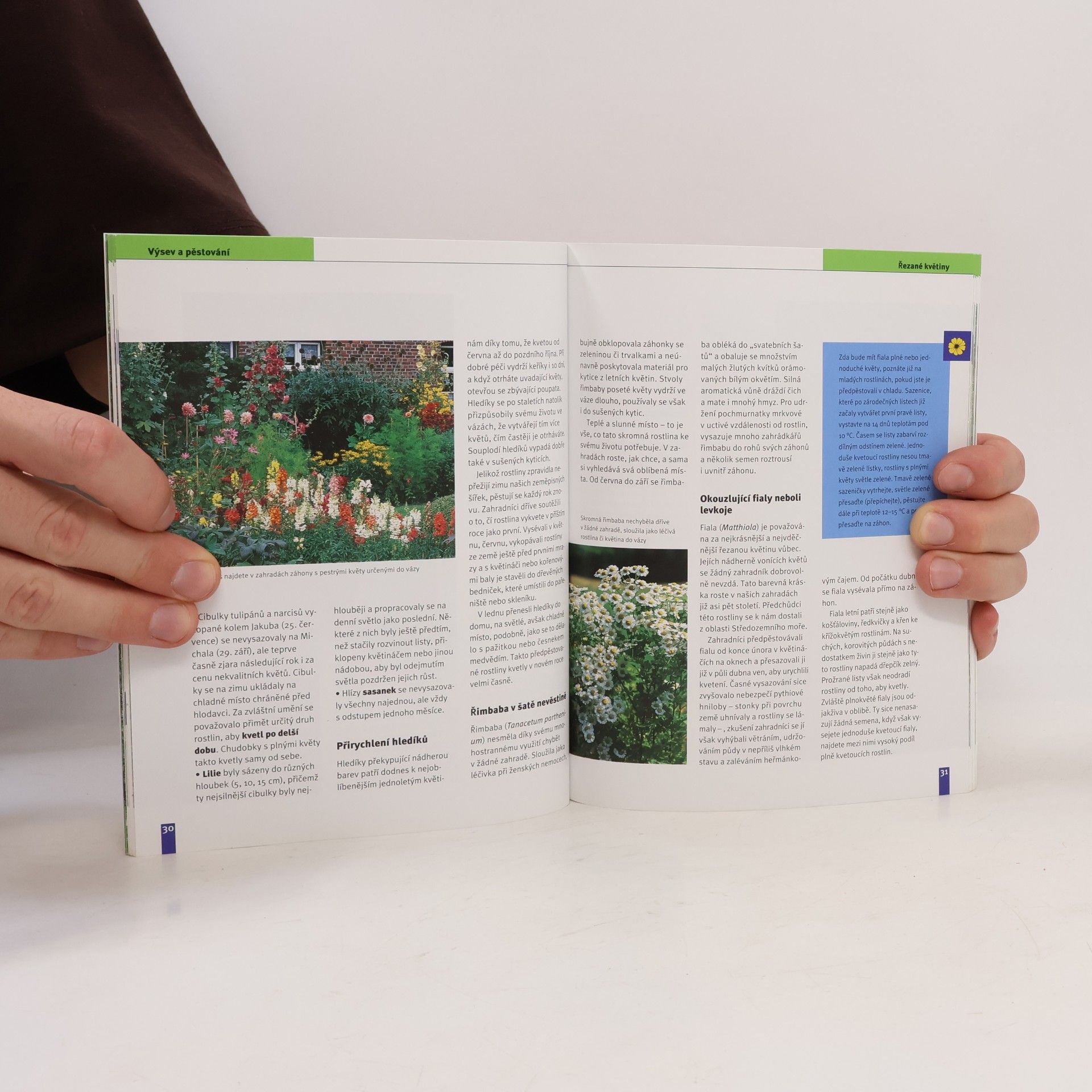 Andrea Kern Rady našich babiček. Výsev a pěstování, hnojení a ošetřování, sklizeň a skladování