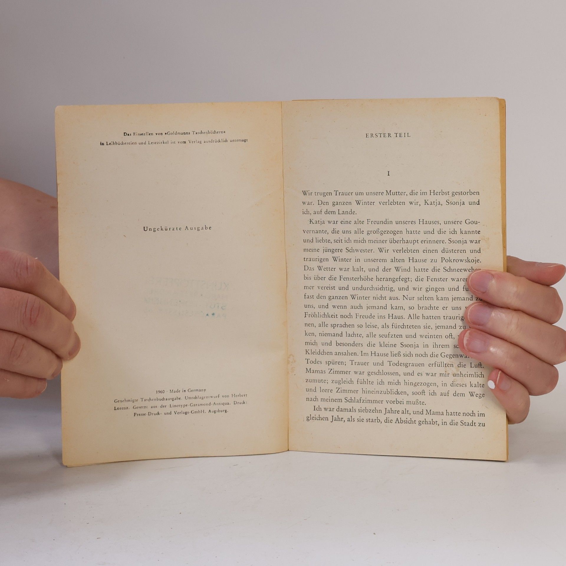 Lew Nikolajewitsch Tolstoi Roman einer Ehe