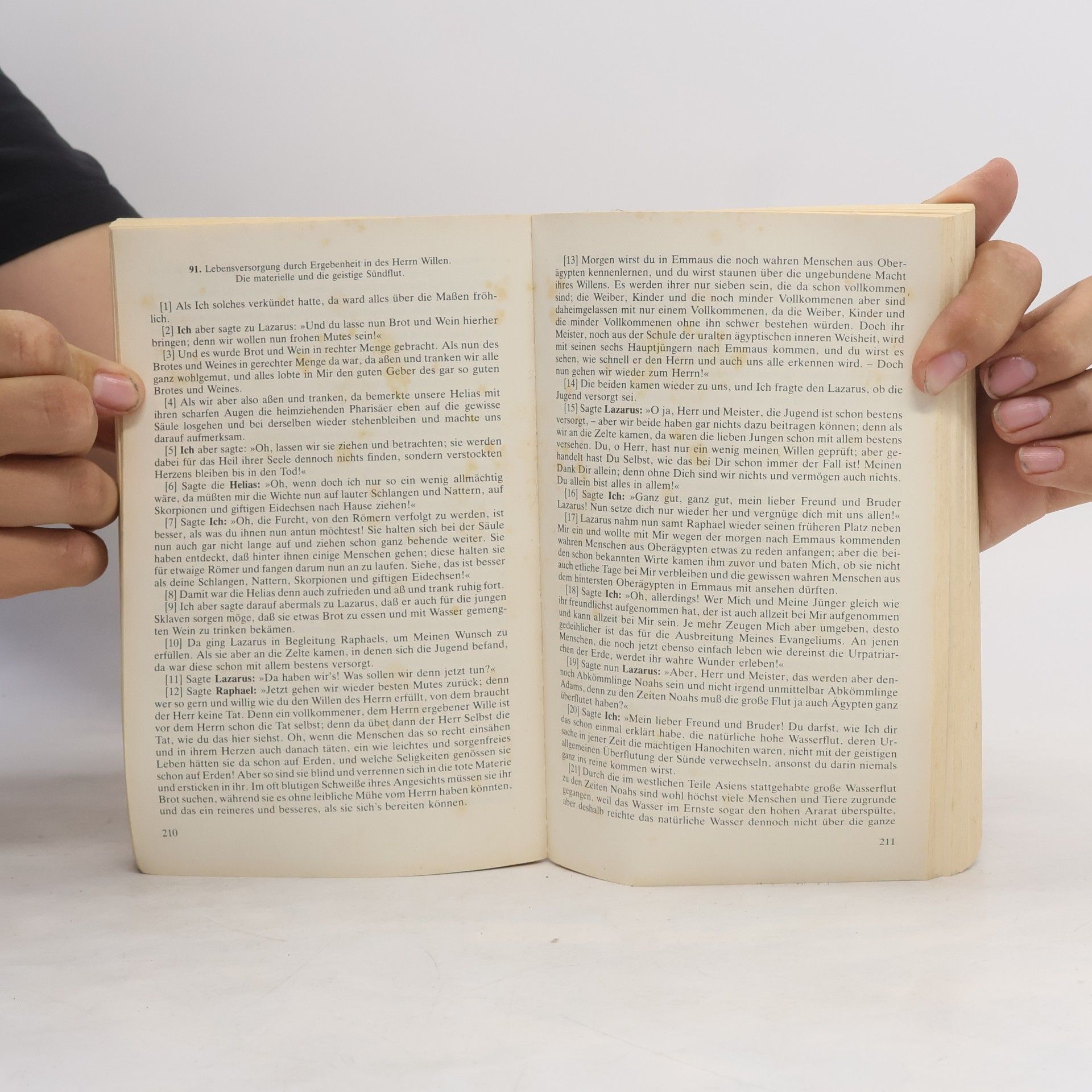 Jakob Lorber Lorber Bücherei - 7: Johannes, das große Evangelium