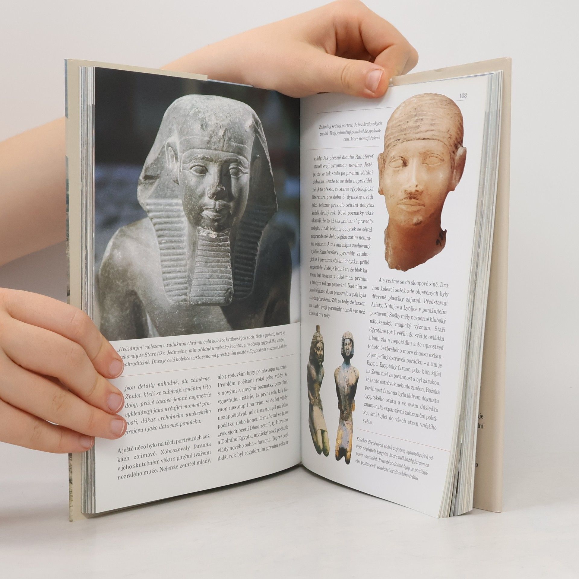 Miroslav Verner Můj život s Egyptem