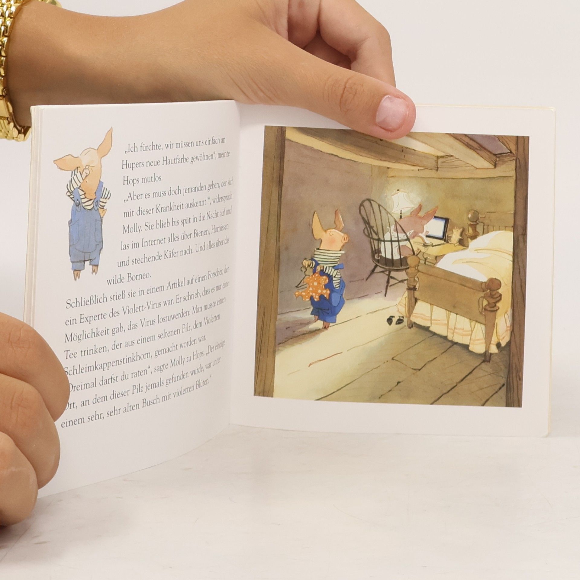 Holly Hobbie Ich wünschte, du wärst hier!