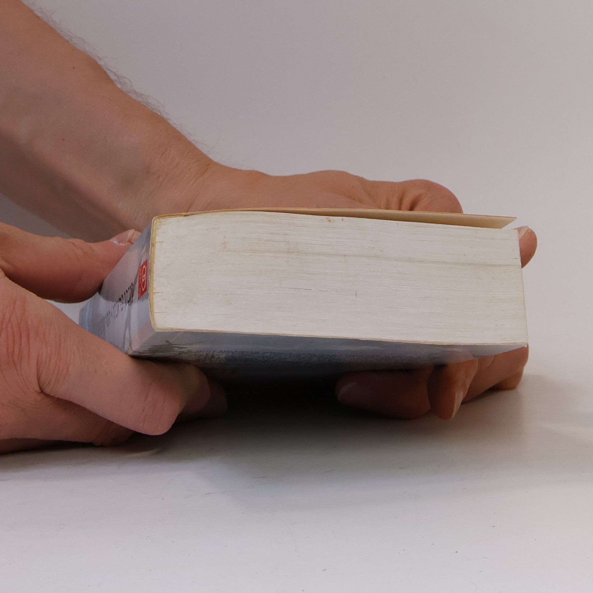 Jonathan Franzen התיקונים