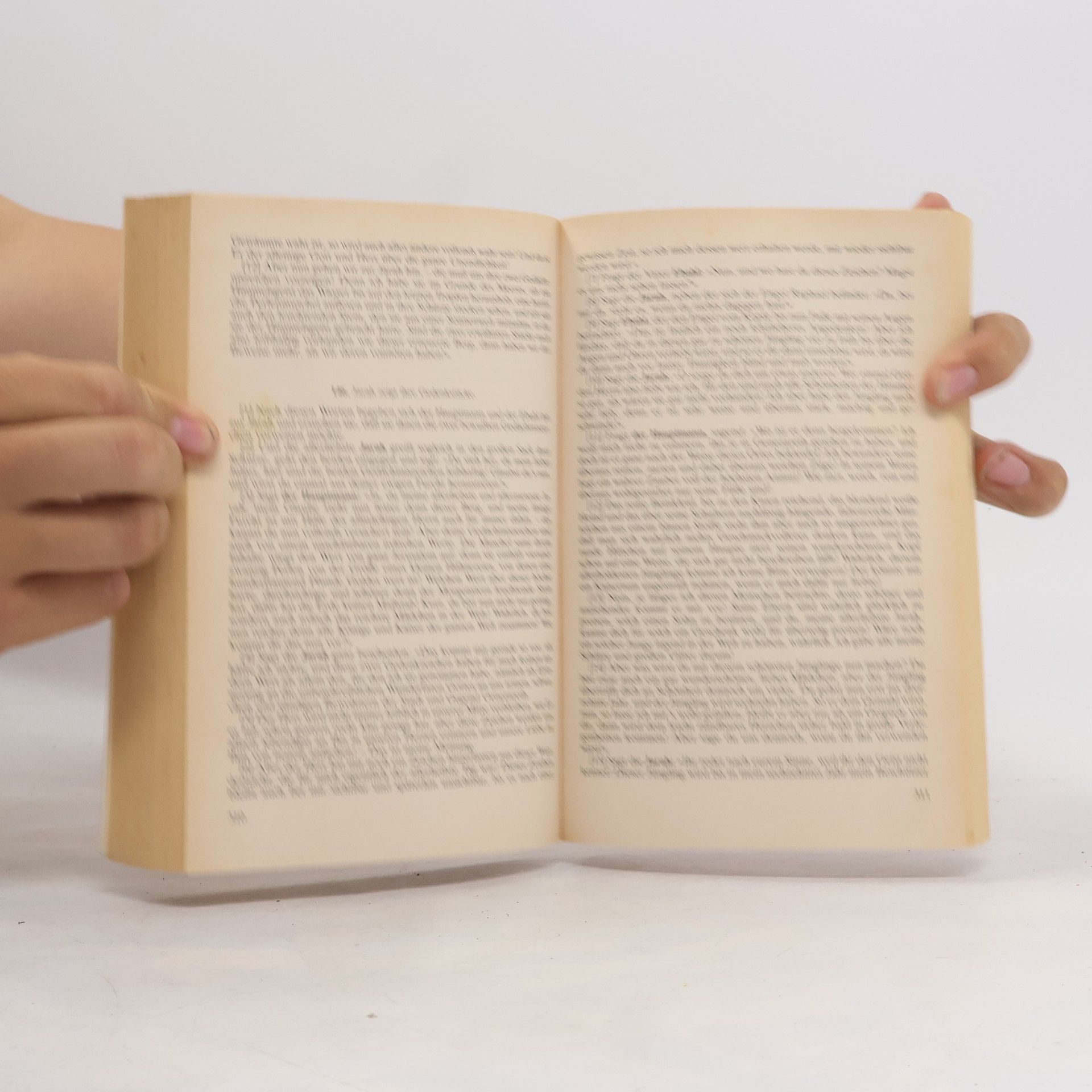Jakob Lorber Johannes, das große Evangelium. Bd.2