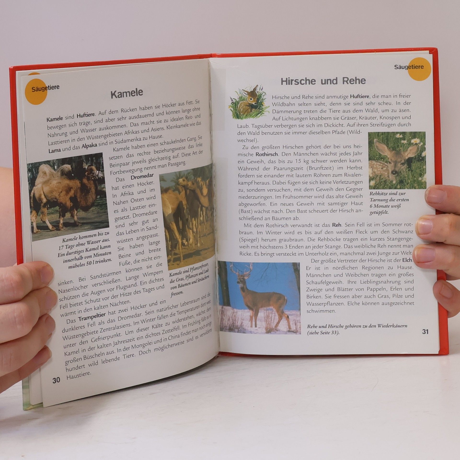 Collectif d'auteurs Tier Buch