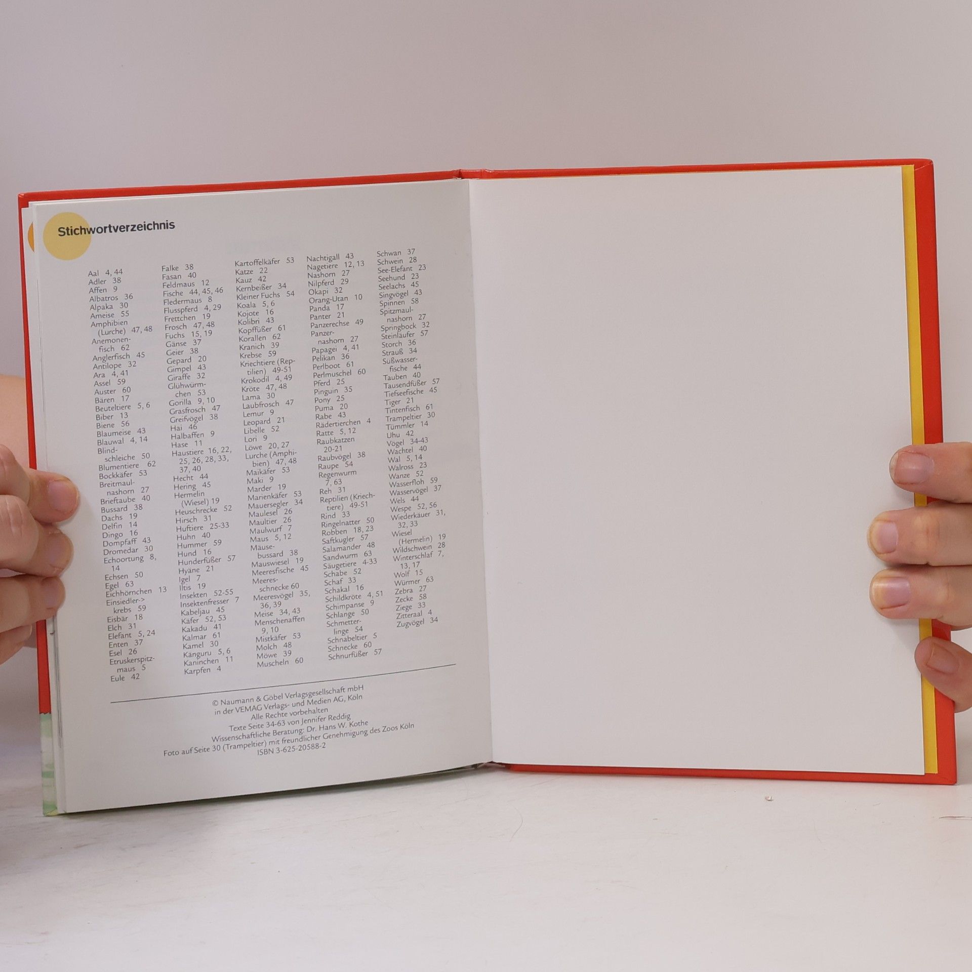 Collectif d'auteurs Tier Buch