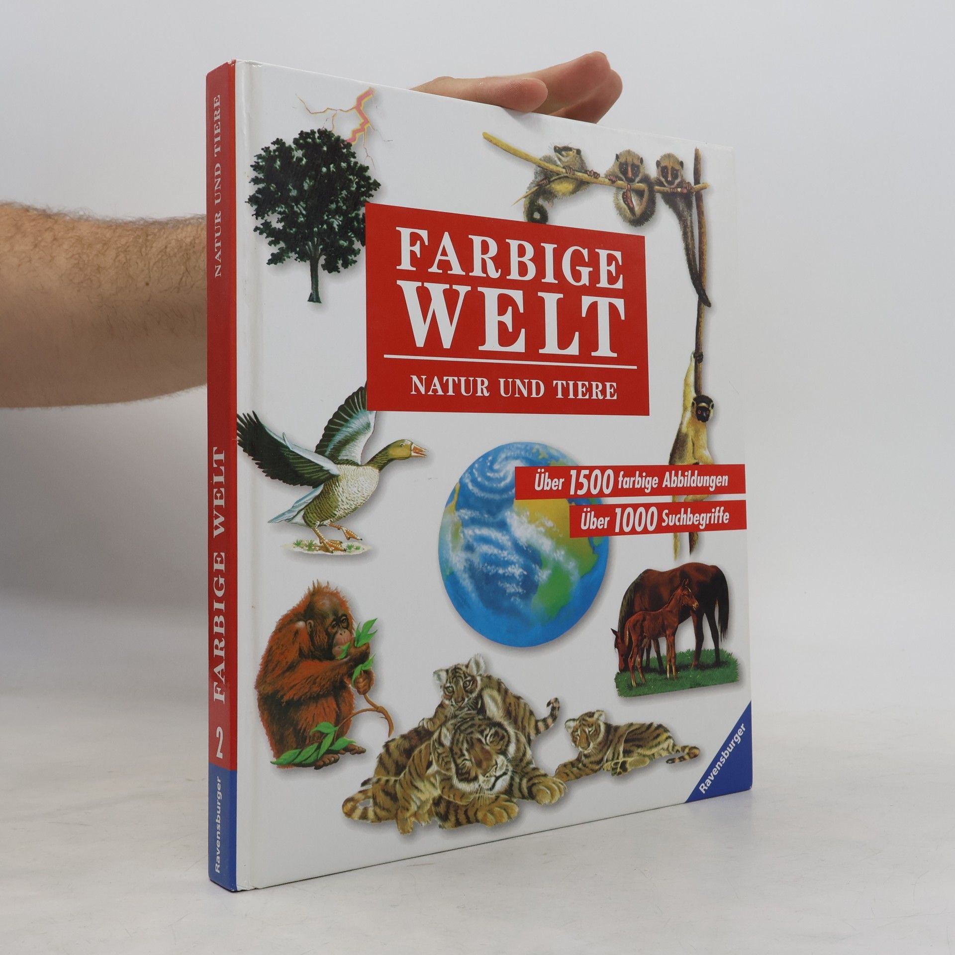 Autorenkollektiv Farbige Welt 2. Natur und Tiere.