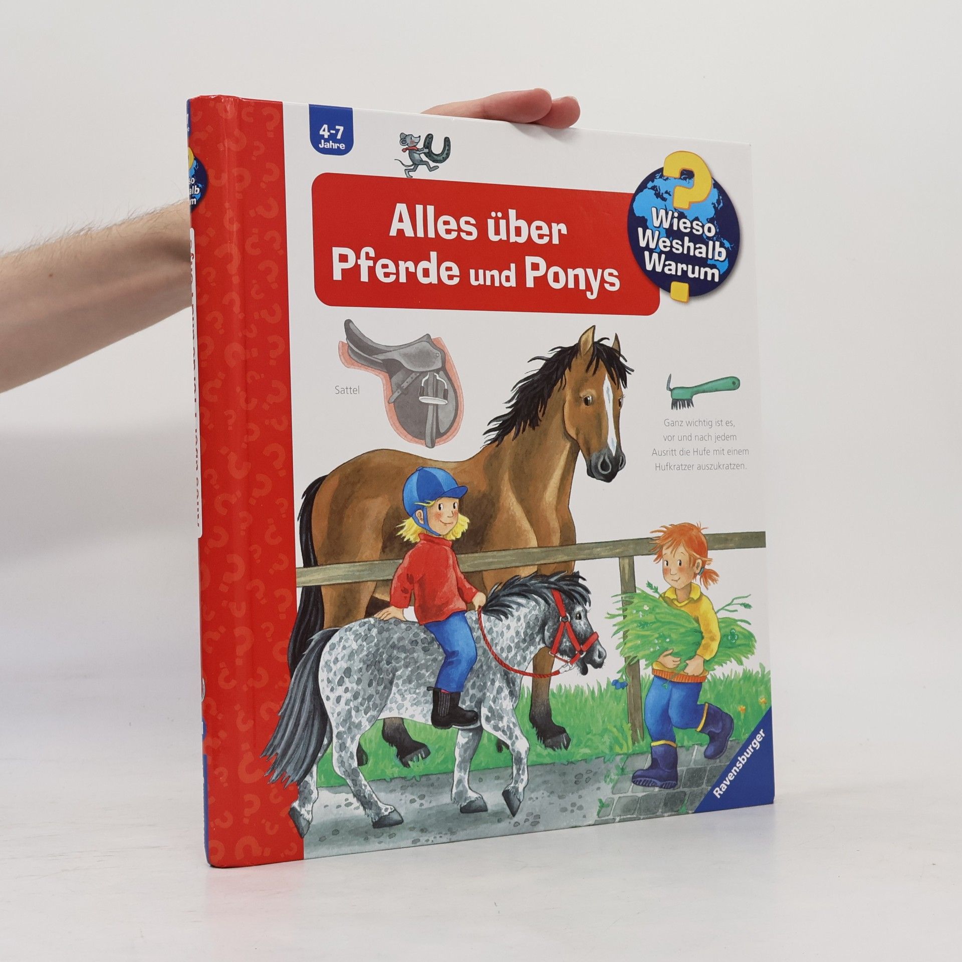 Andrea Erne Alles über Pferde und Ponys