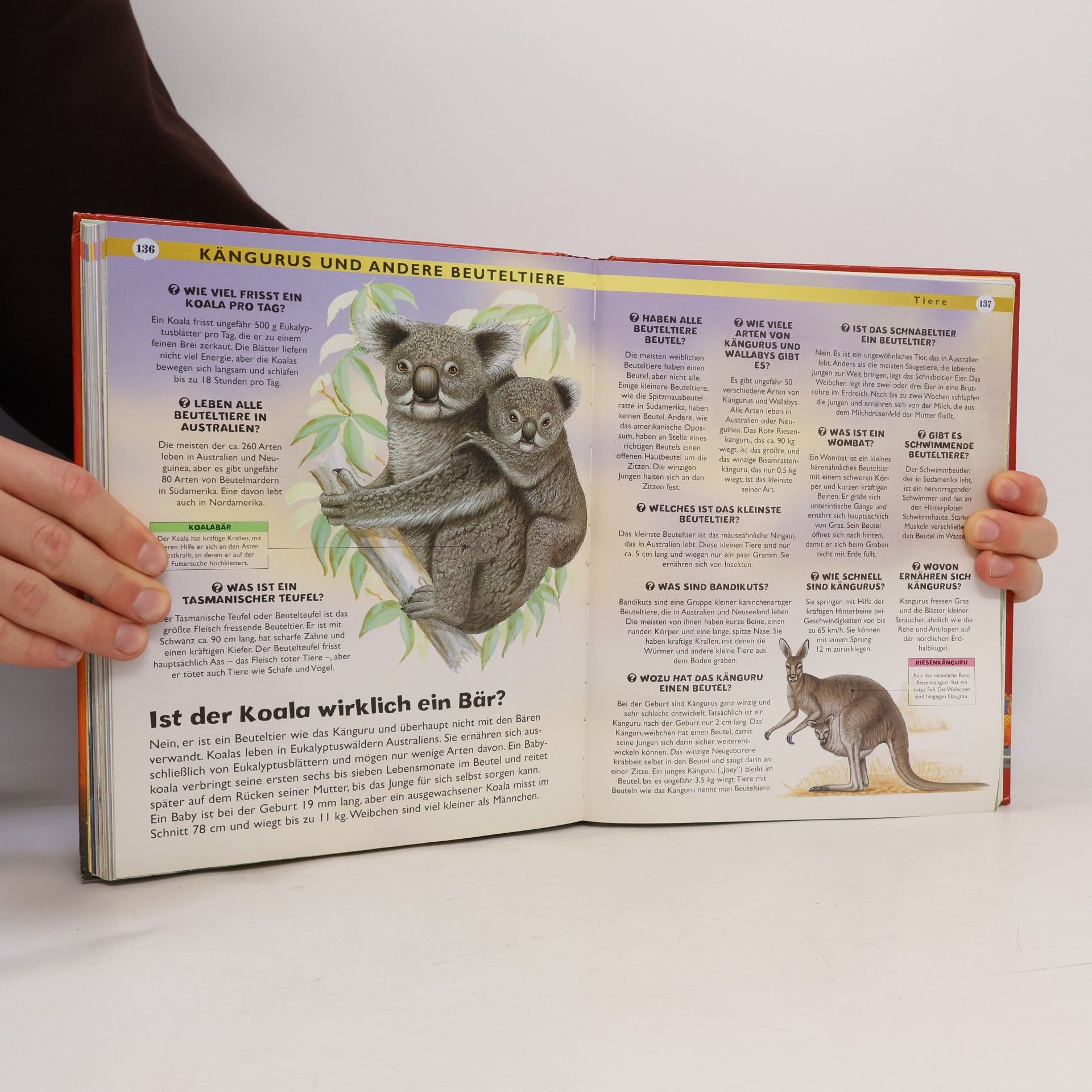 Various authors Das grosse Buch der Fragen & Antworten