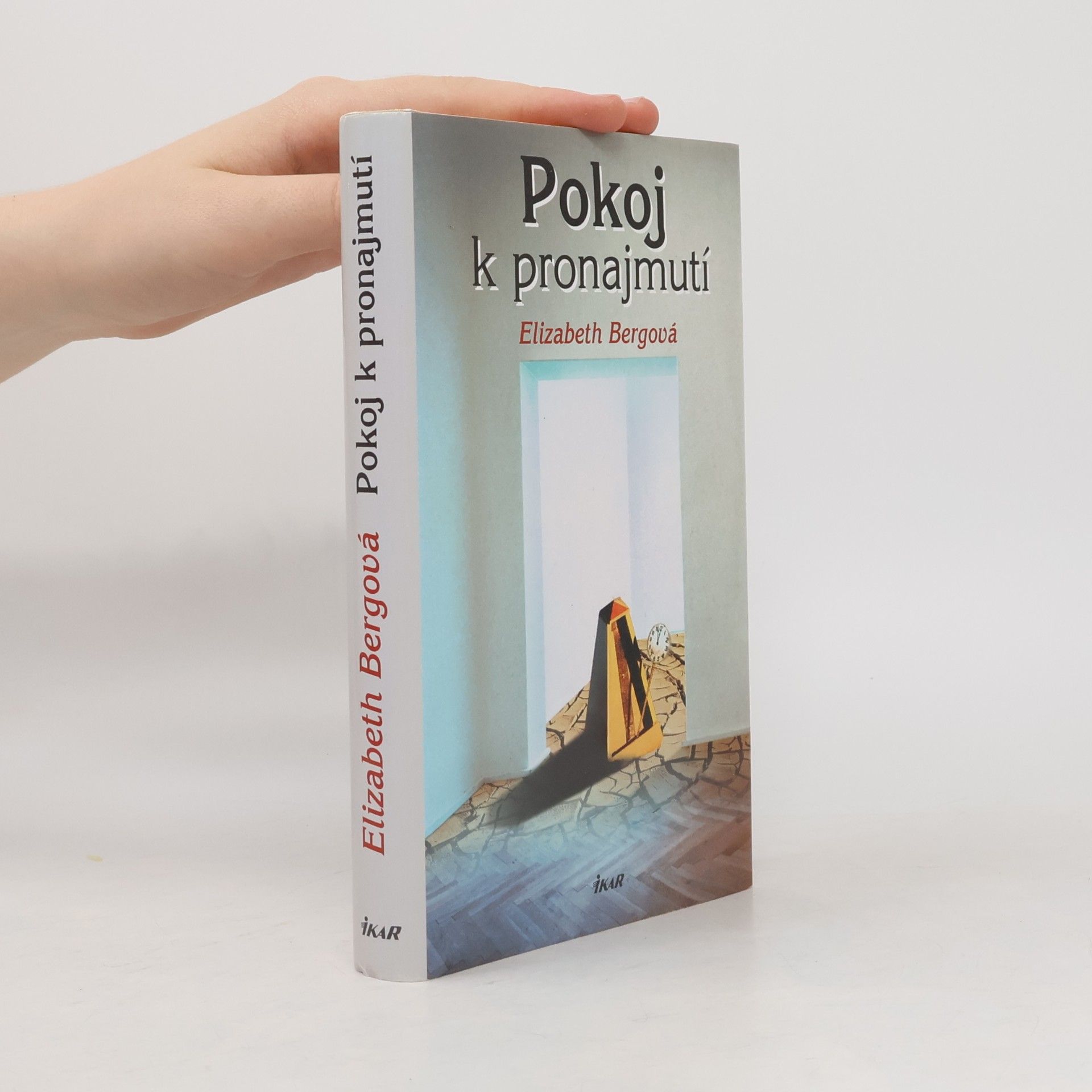 Elizabeth Berg Pokoj k pronajmutí