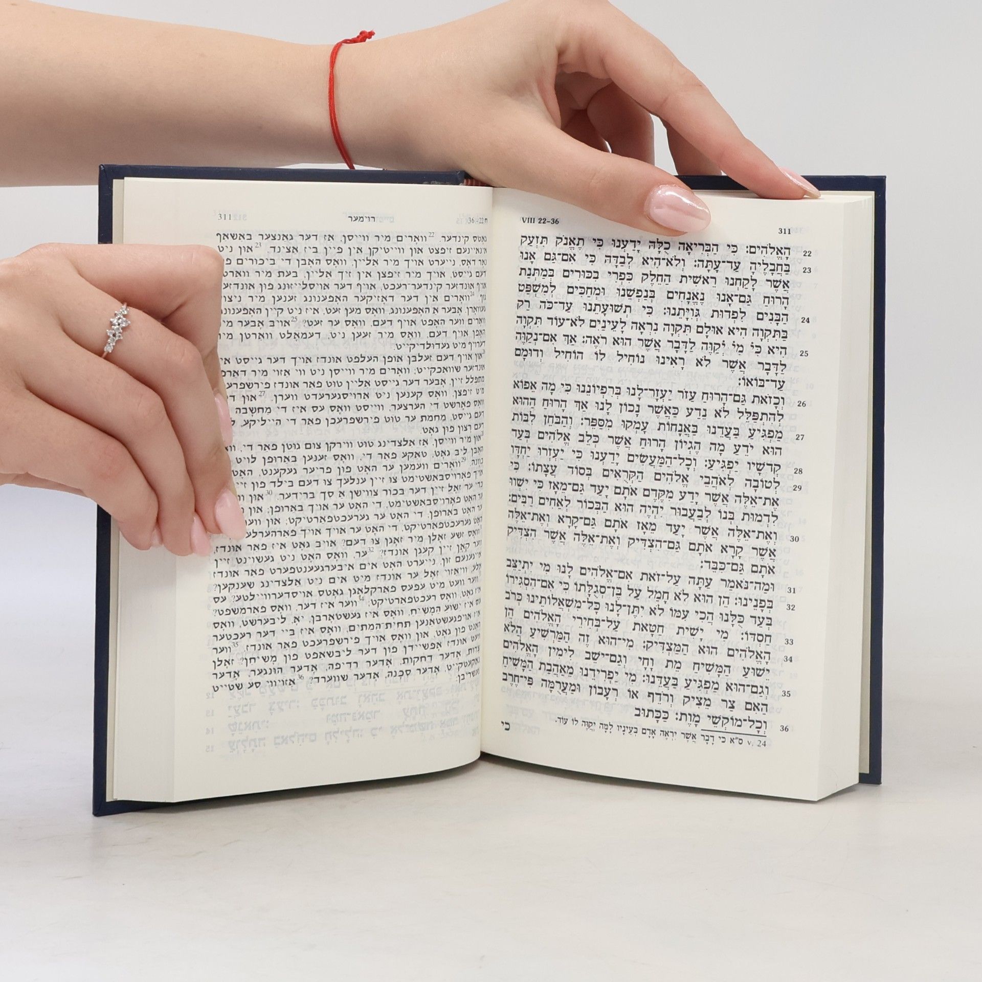 Autores varios הברית החדשה / דער ברית חדשה