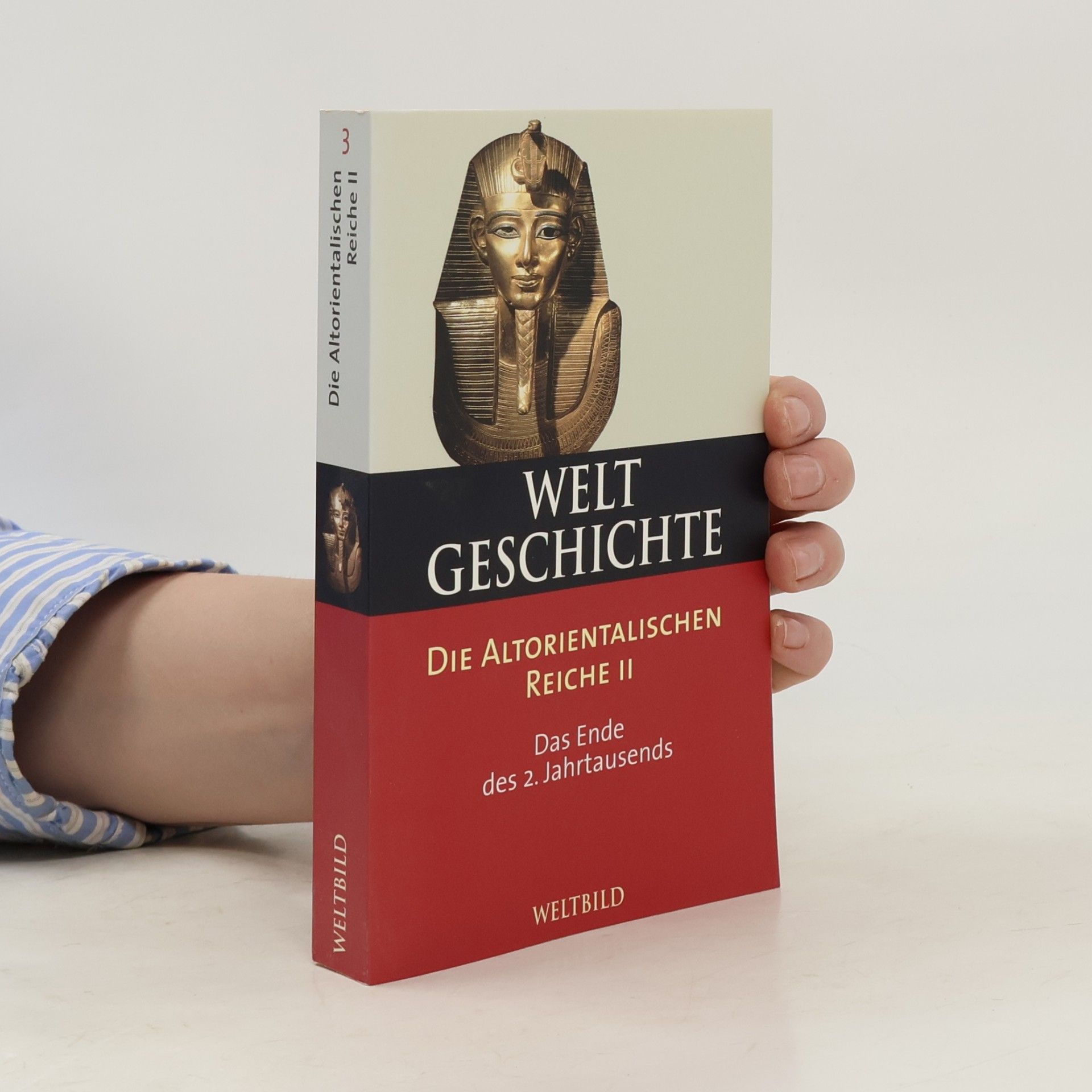 Autorenkollektiv Welt Geschichte. Die Altorientalischen Reiche II