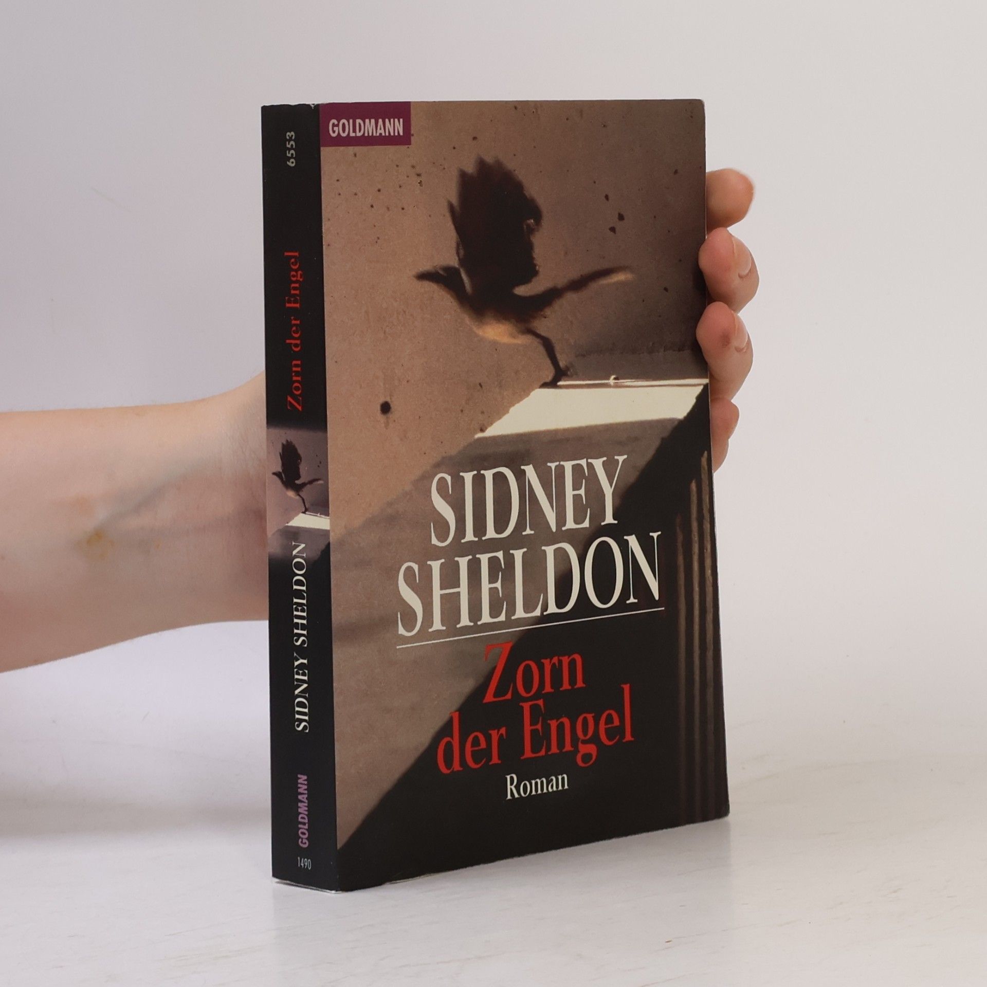 Sidney Sheldon Zorn der Engel