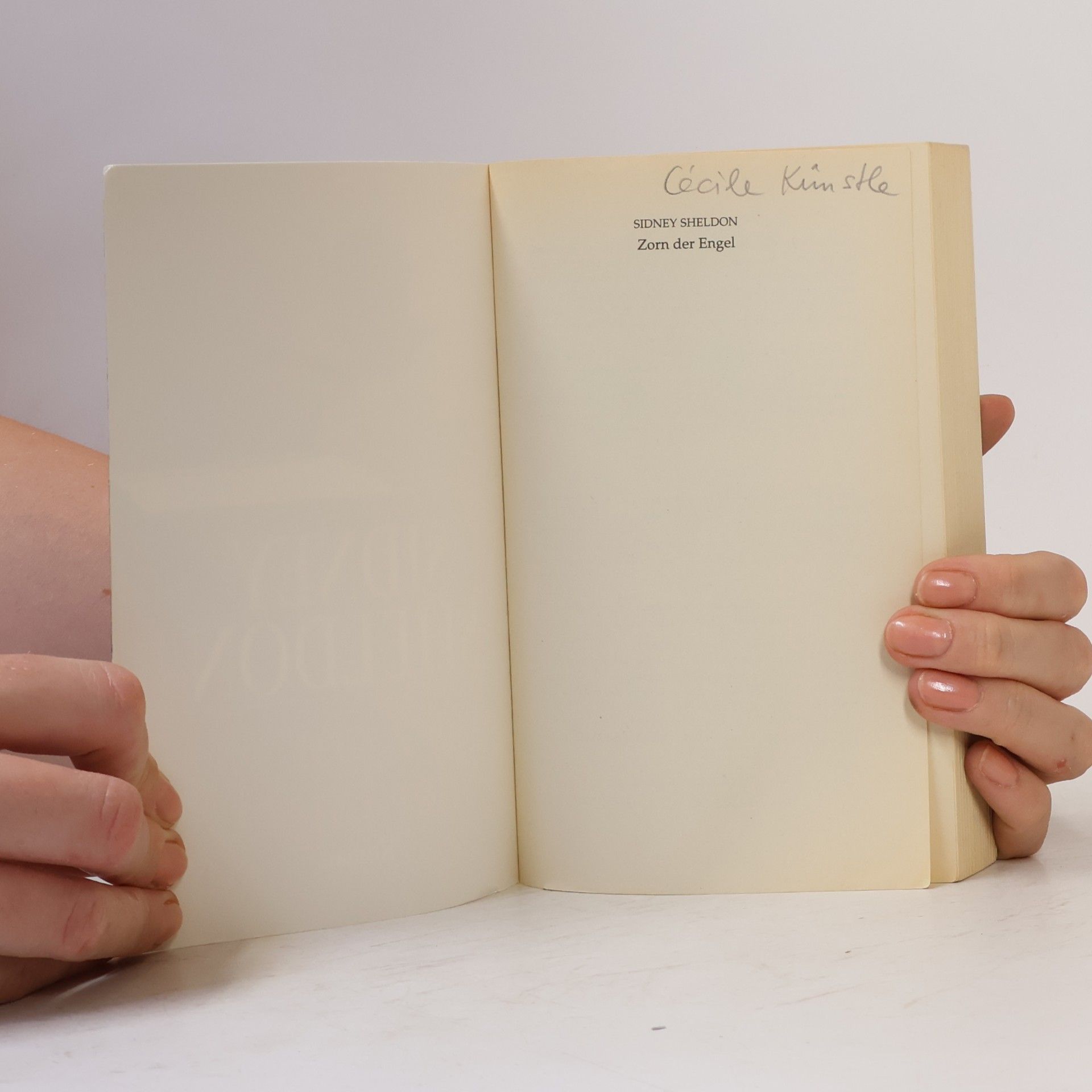 Sidney Sheldon Zorn der Engel