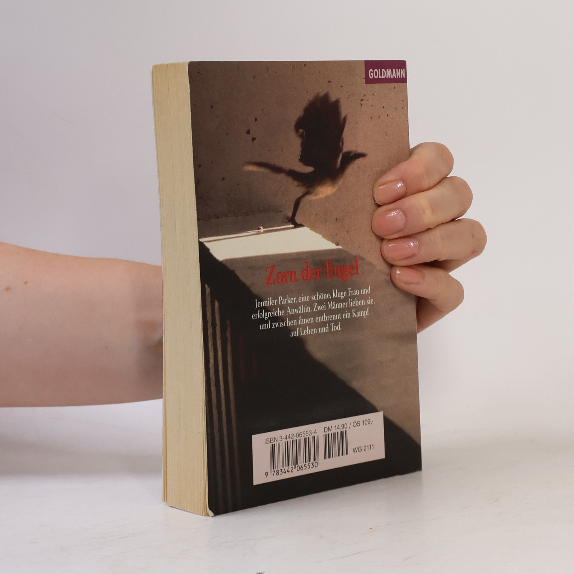 Sidney Sheldon Zorn der Engel