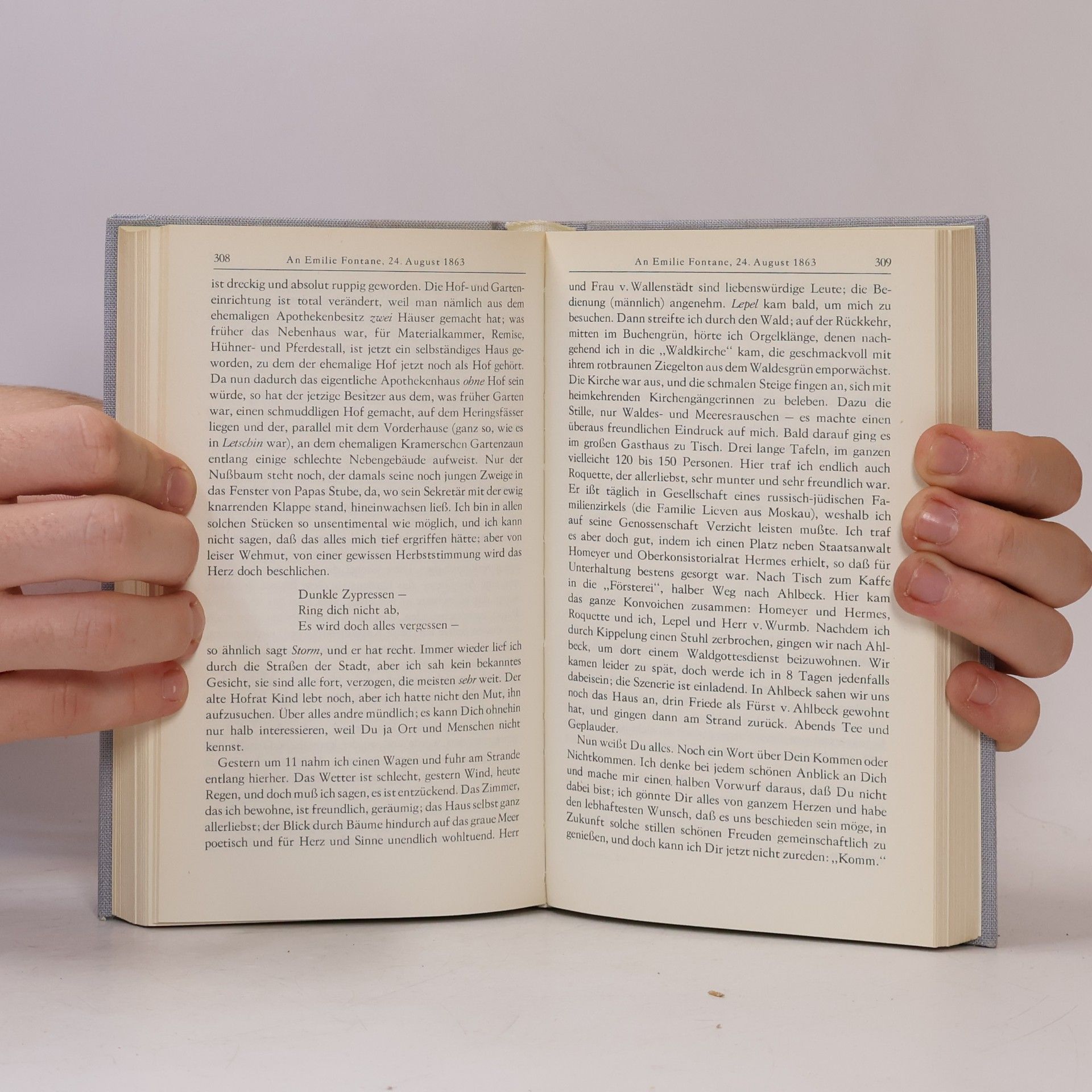 Theodor Fontane Fontanes Briefe in zwei Bänden I+II