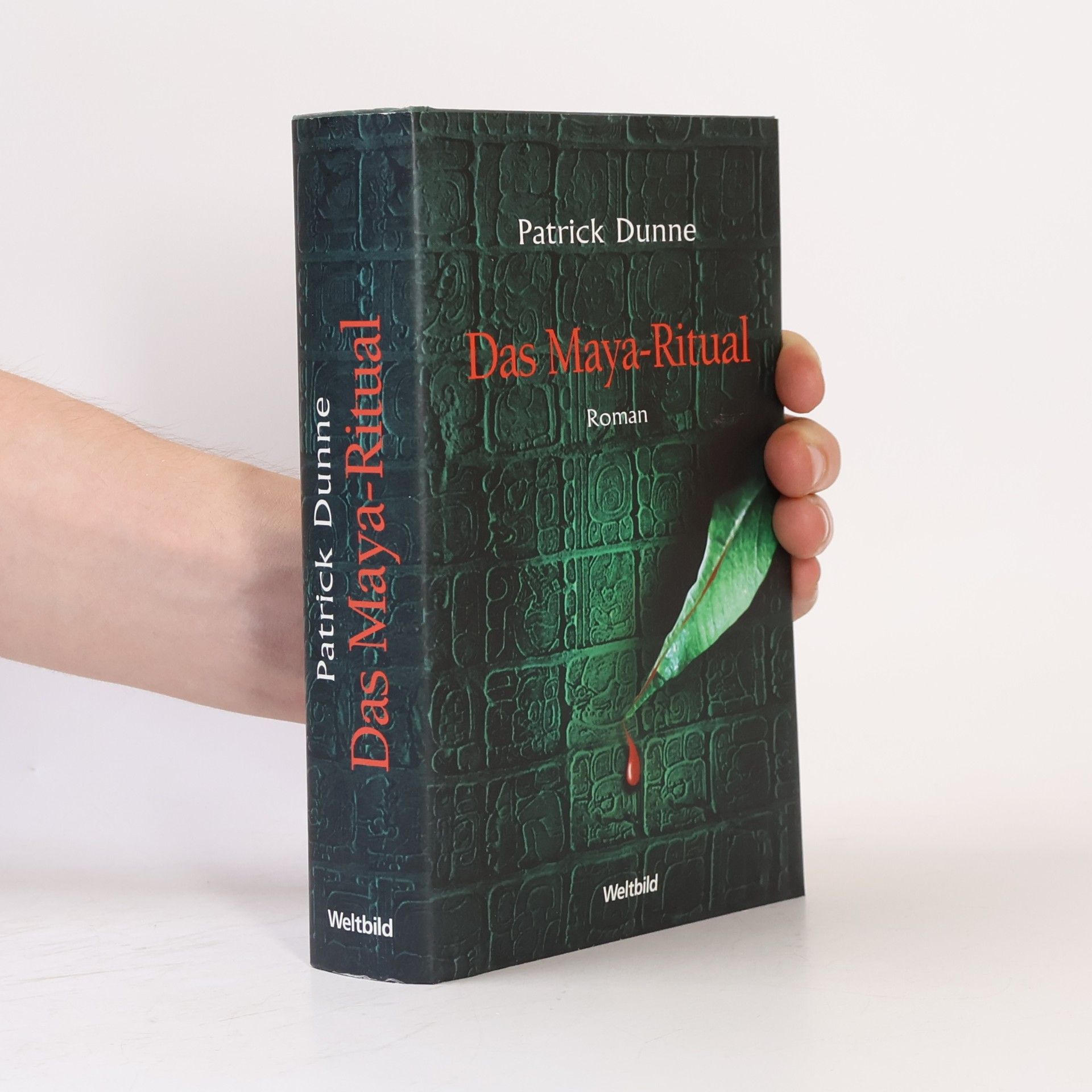 Patrick Dunne Das Maya-Ritual