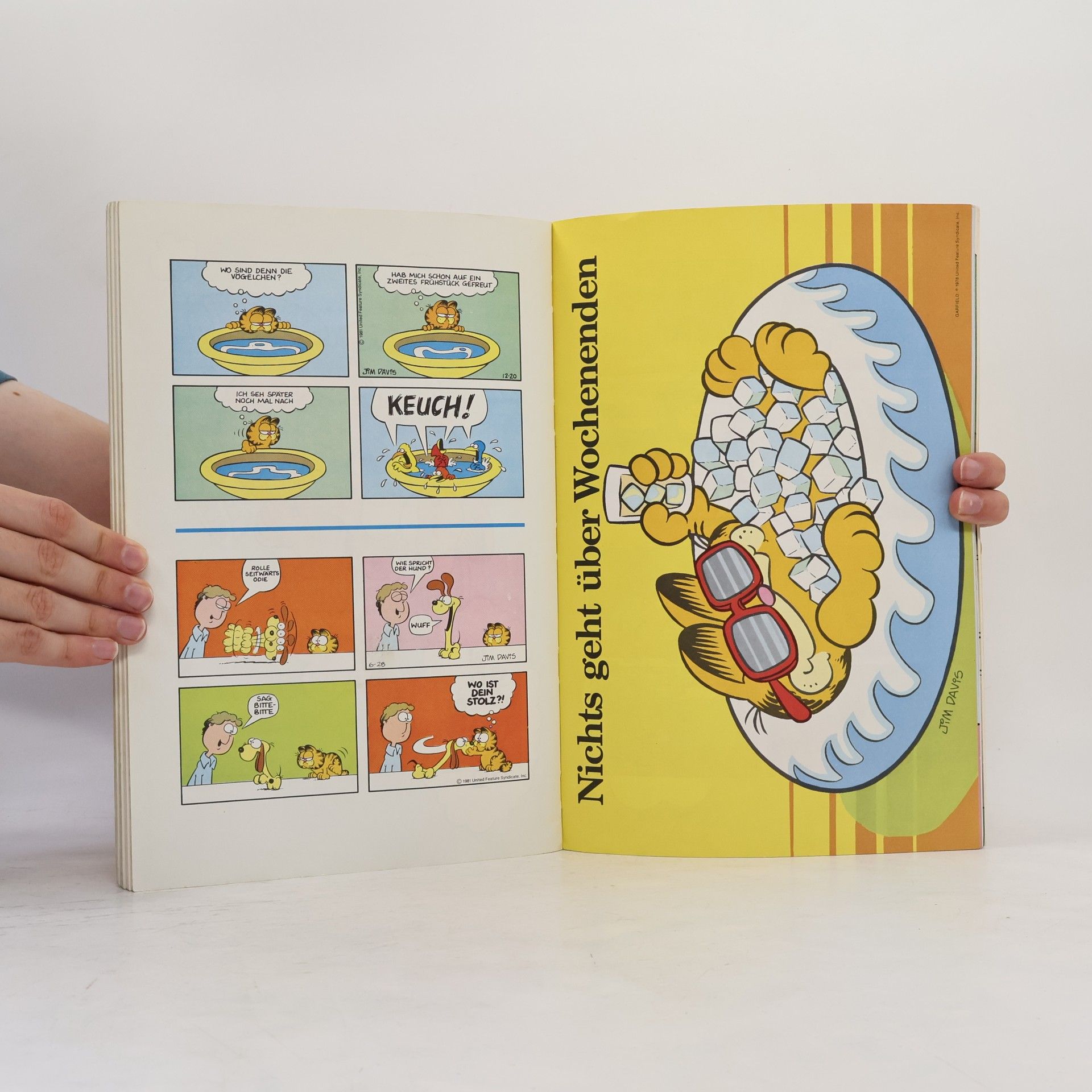 Jim Davis Die Garfield-Galerie 2