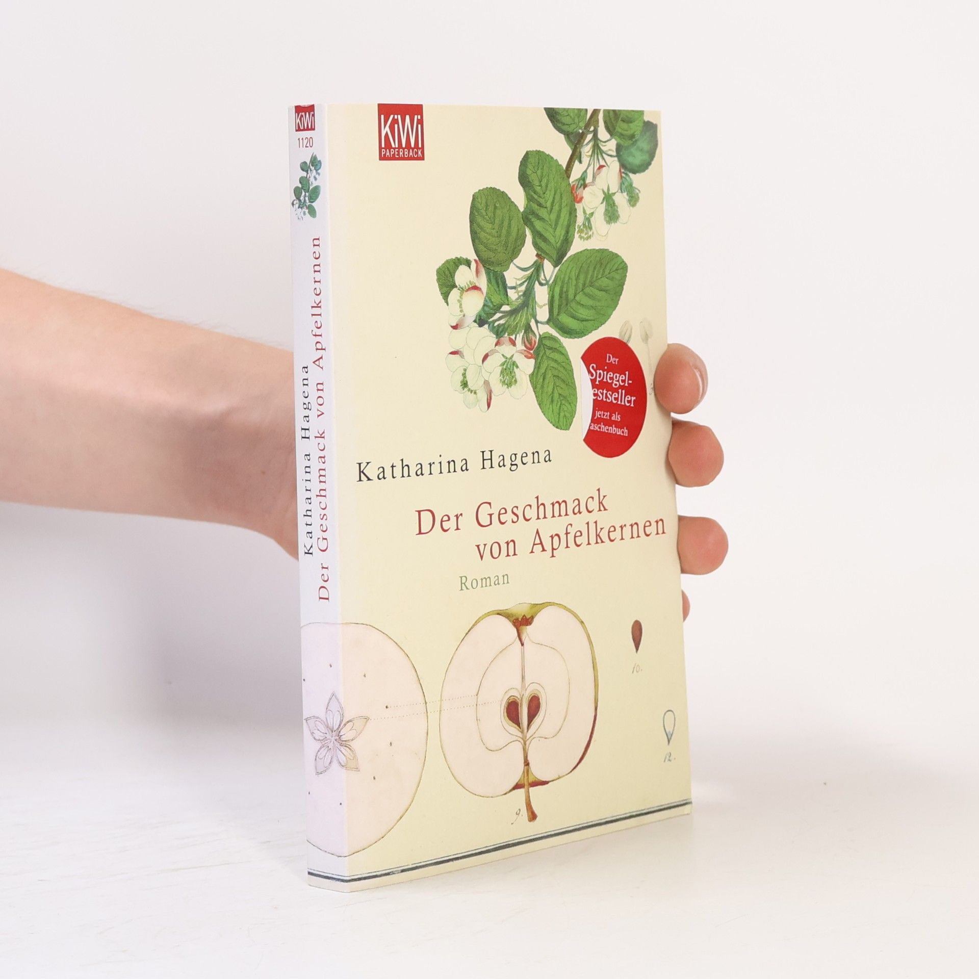 Katharina Hagena Der Geschmack von Apfelkernen