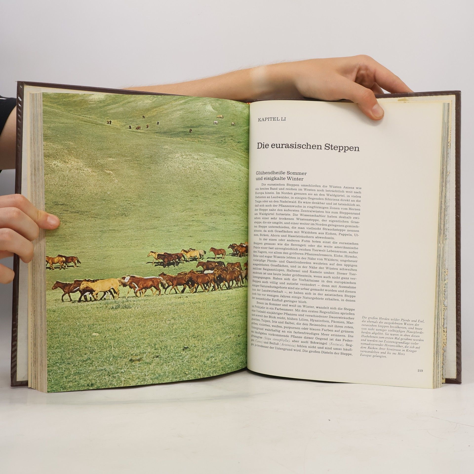 Collectif d'auteurs Fauna 4. Eurasien, Nordamerika