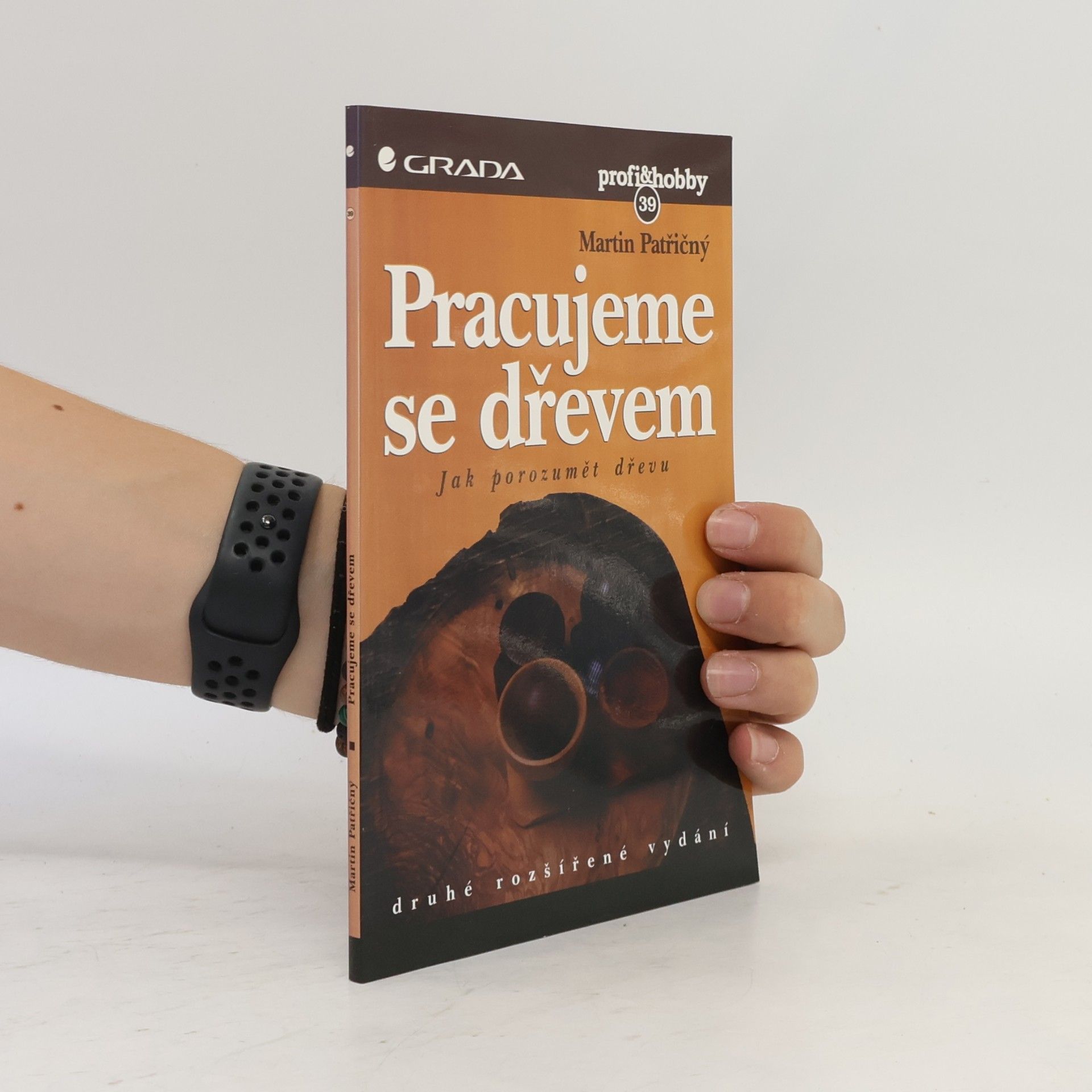 Martin Patřičný Pracujeme se dřevem – jak porozumět dřevu