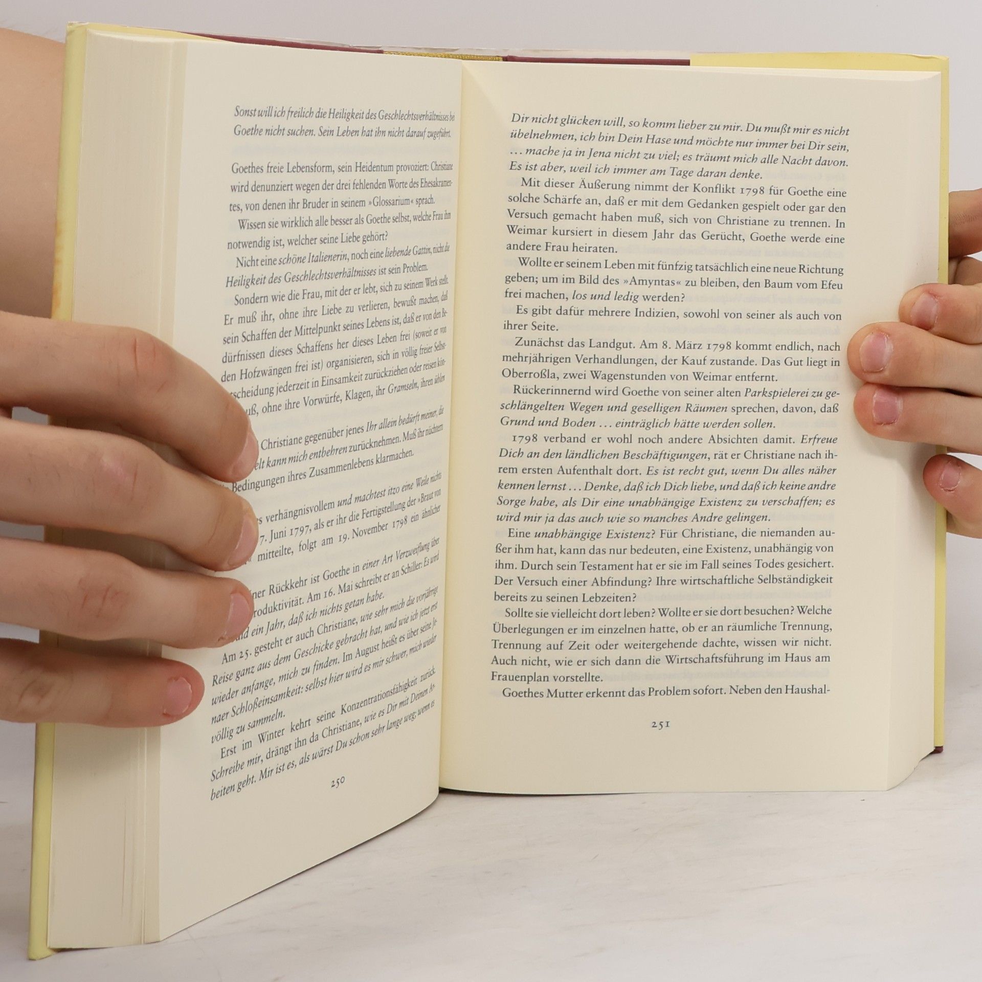 Sigrid Damm Christiane und Goethe
