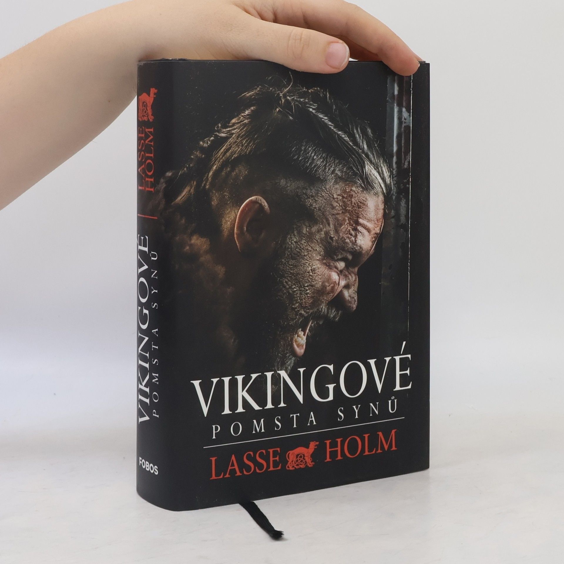 Vikingové. Pomsta synů