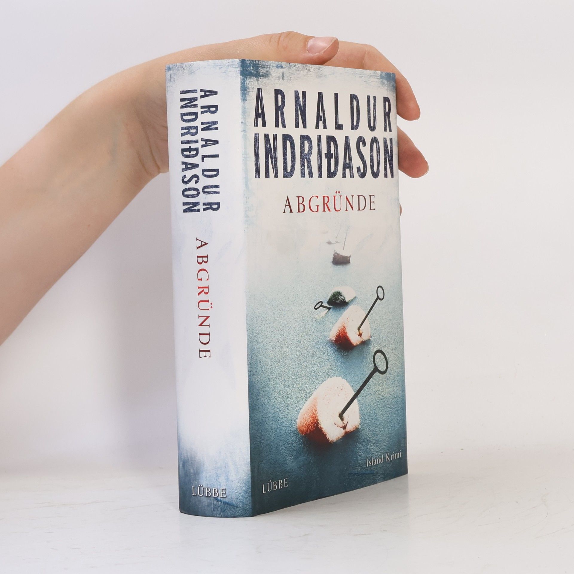 Arnaldur Indridason Abgründe
