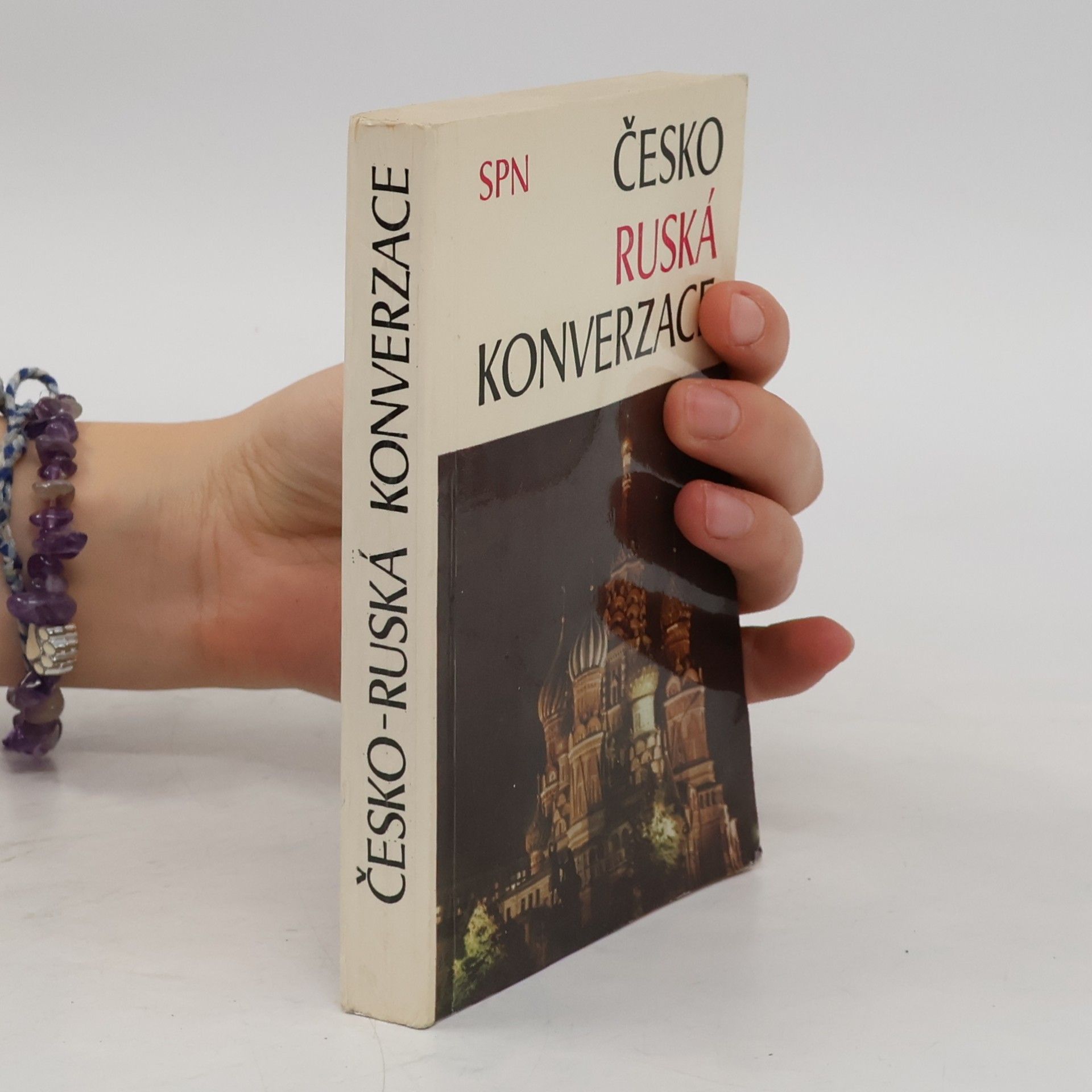 Autorenkollektiv Česko ruská konverzace