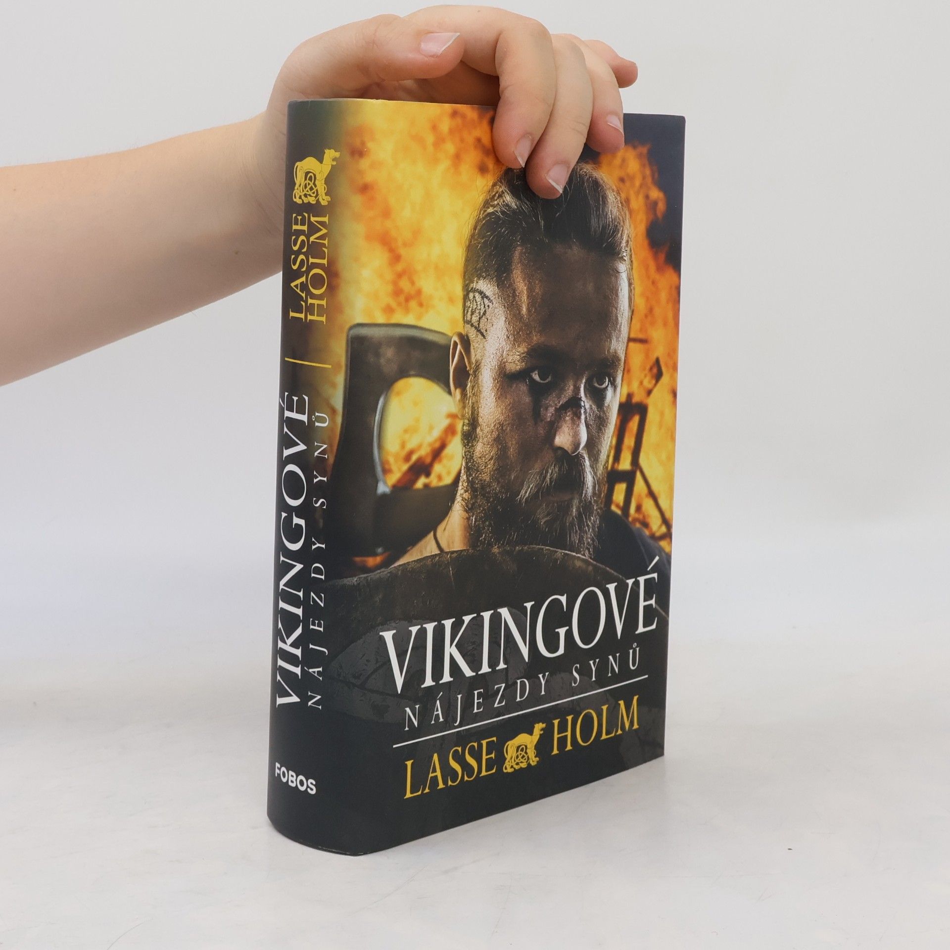 Lasse Holm Vikingové. Nájezdy synů