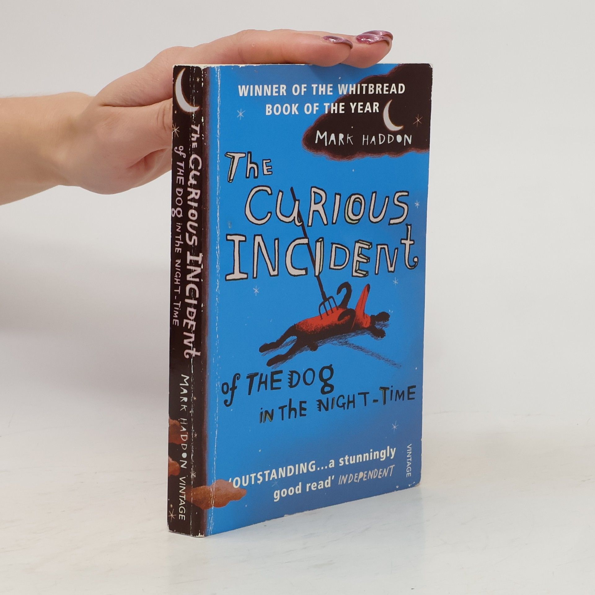 Mark Haddon The Curious Incident of The Dog in The Night-Time