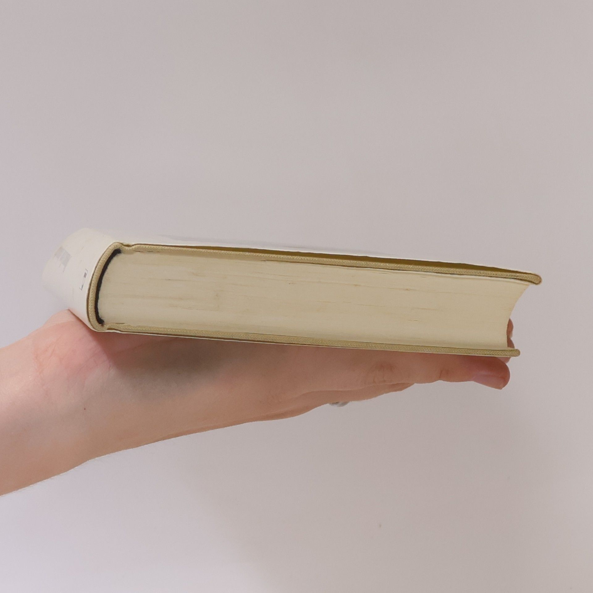 Donna Leon Acqua alta