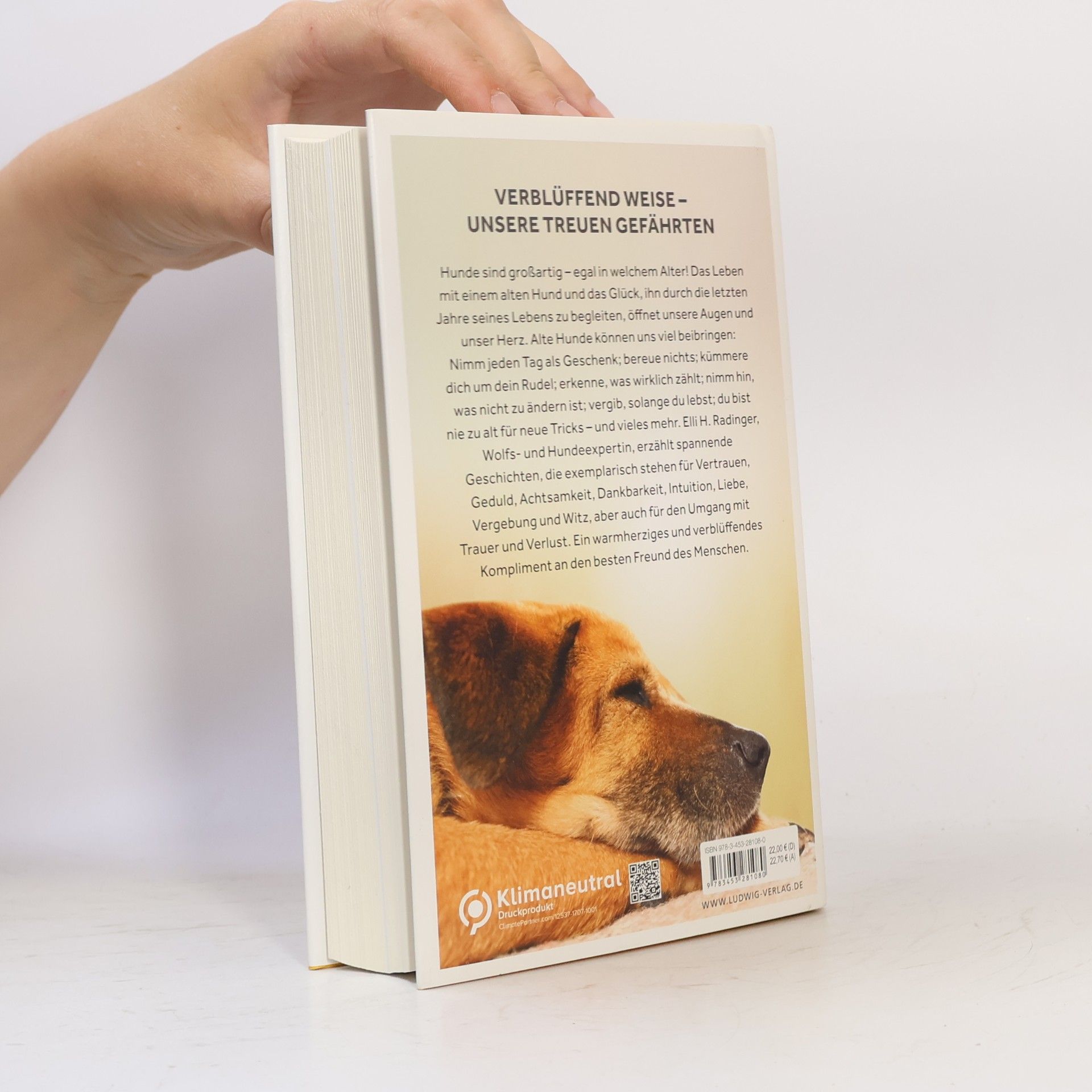 Elli H. Radinger Die Weisheit alter Hunde
