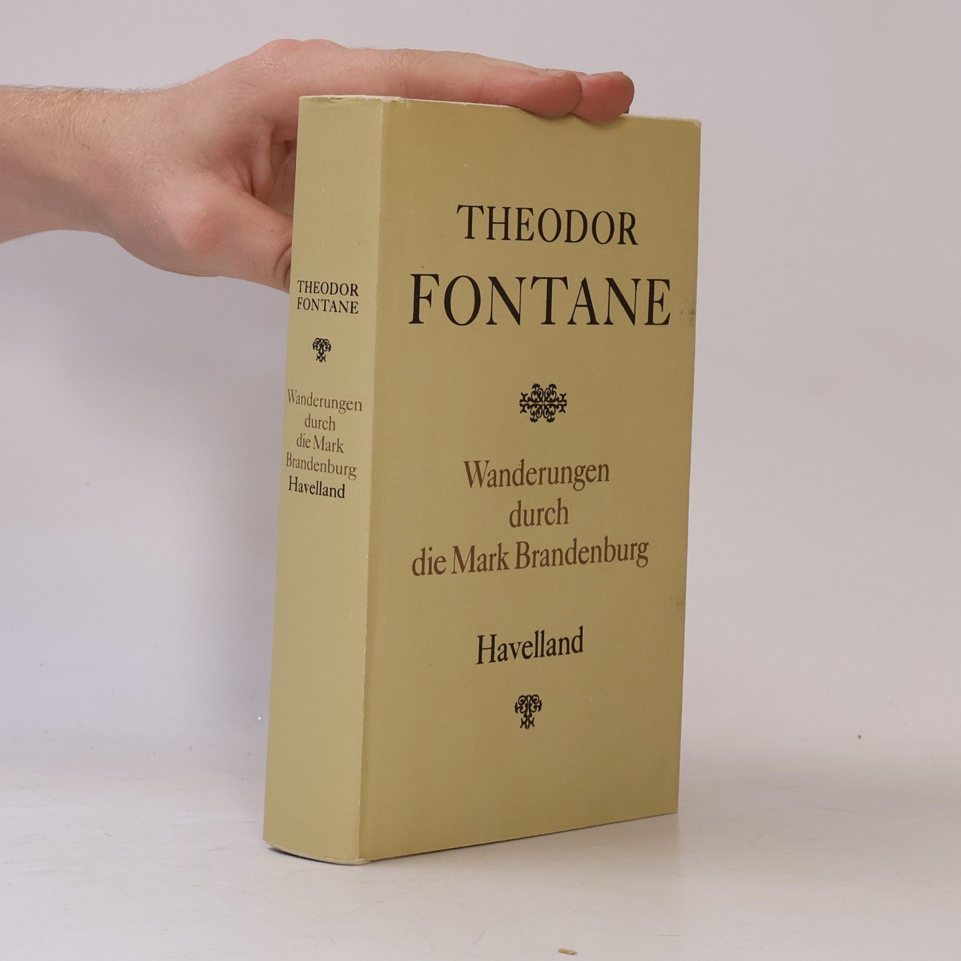 Theodor Fontane Wanderungen durch die Mark Brandenburg. Havelland