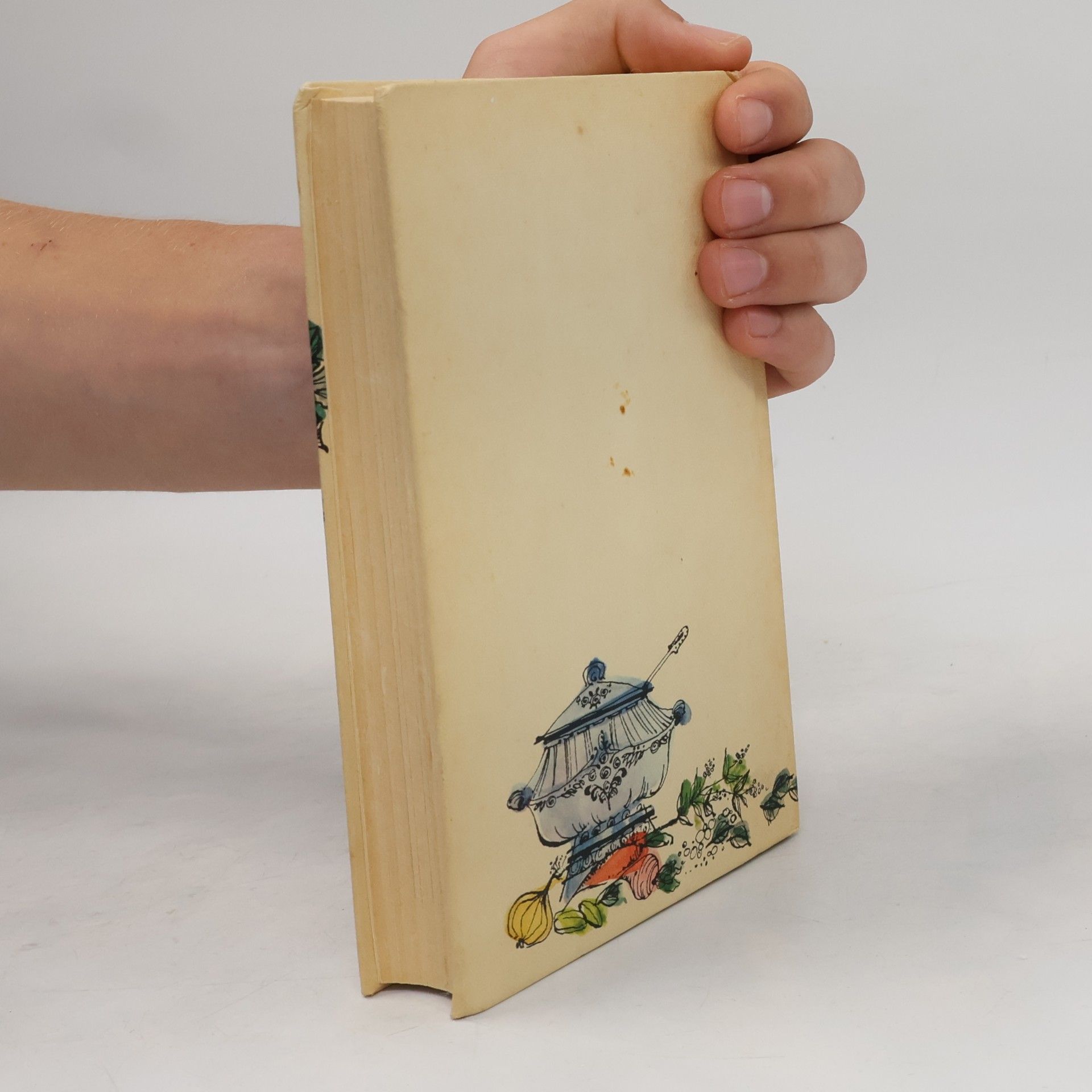 Henriette Davidis Mutters praktisches Kochbuch