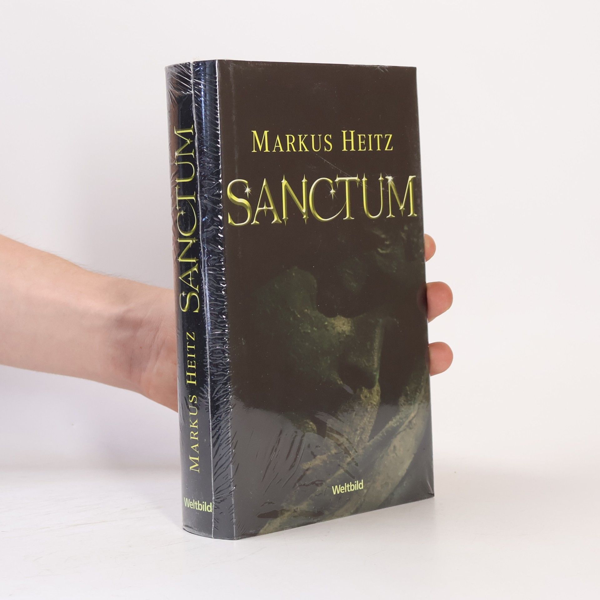 Markus Heitz Sanctum