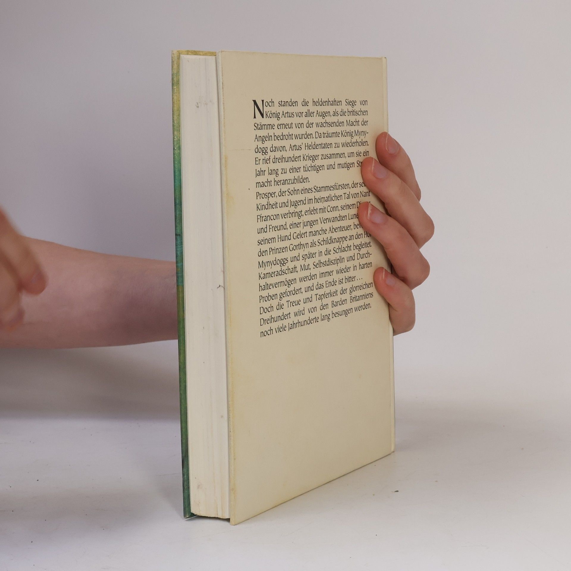 Rosemary Sutcliff Die glorreichen Dreihundert