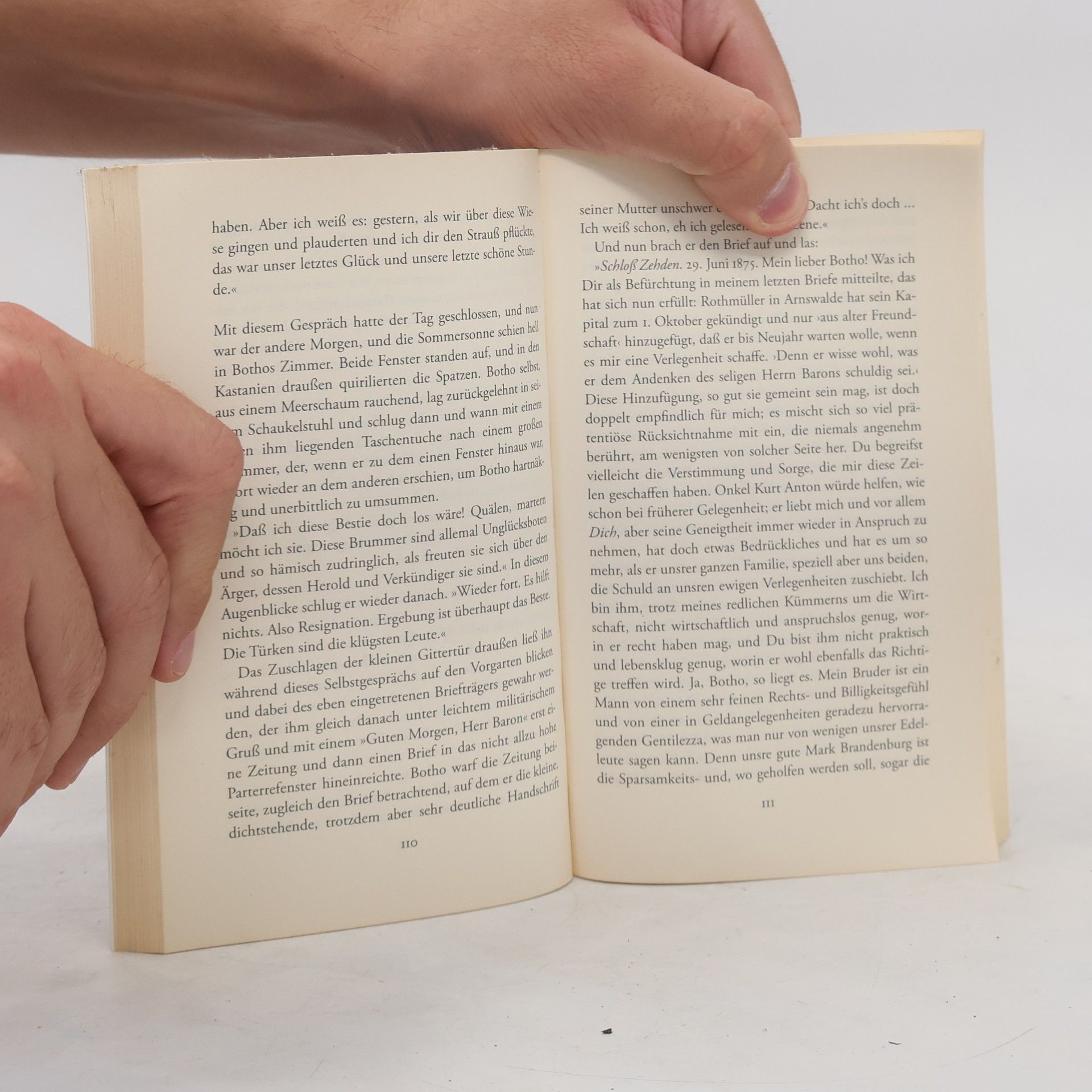 Theodor Fontane Insel Taschenbuch - 3521: Irrungen, Wirrungen