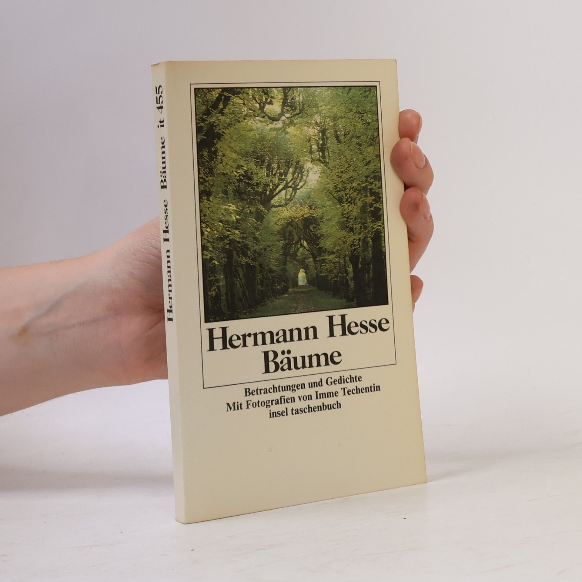 Hermann Hesse Bäume