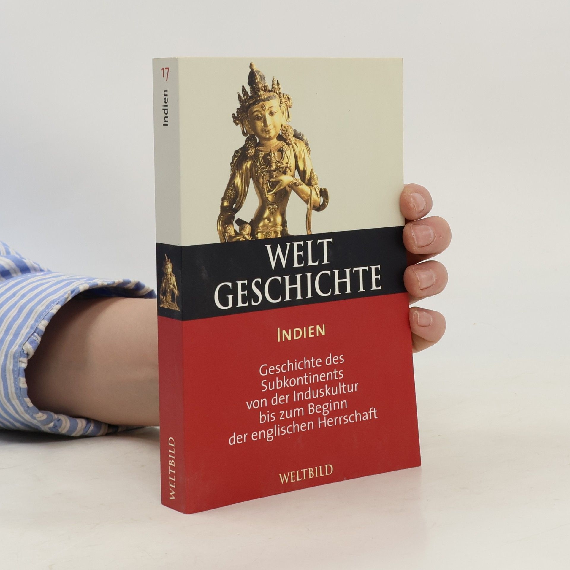Ainslie T. Embree Welt Geschichte. Indien