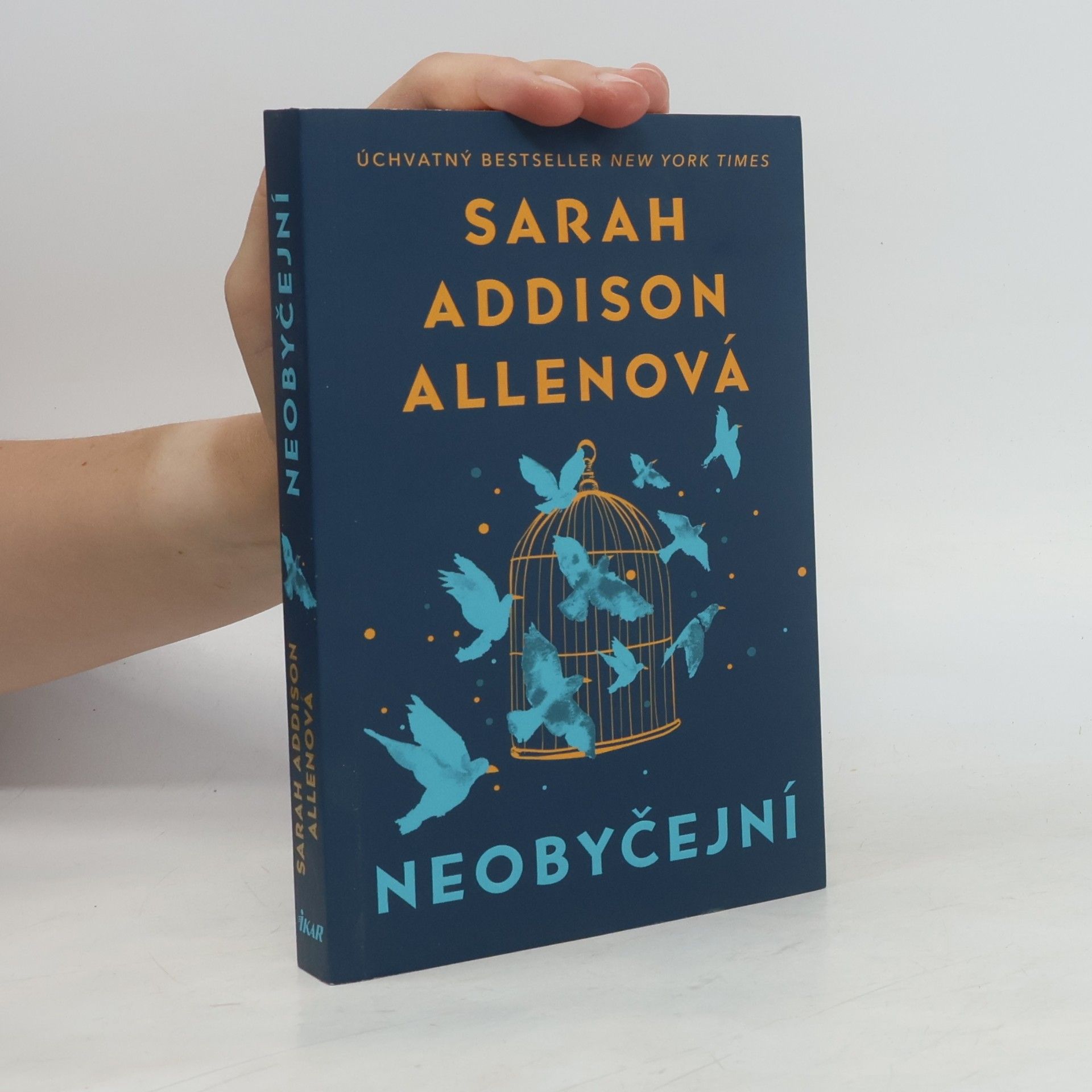 Sarah Addison Allen Neobyčejní