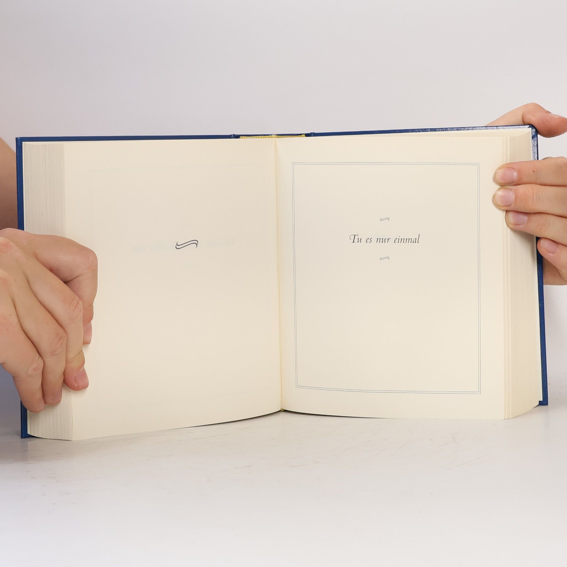 Carol Bolt Das Buch Der Antworten