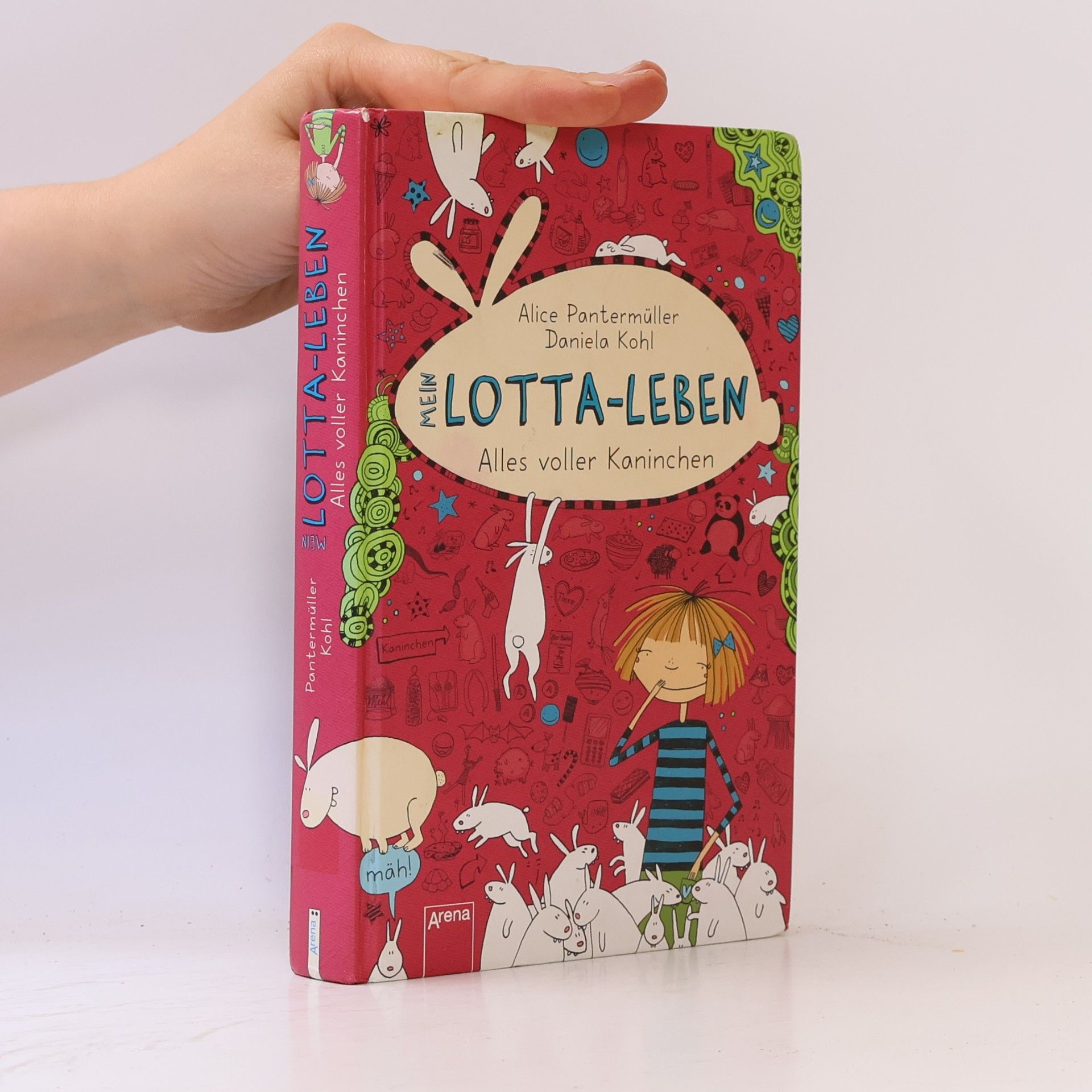 Alice Pantermüller Mein Lotta-Leben