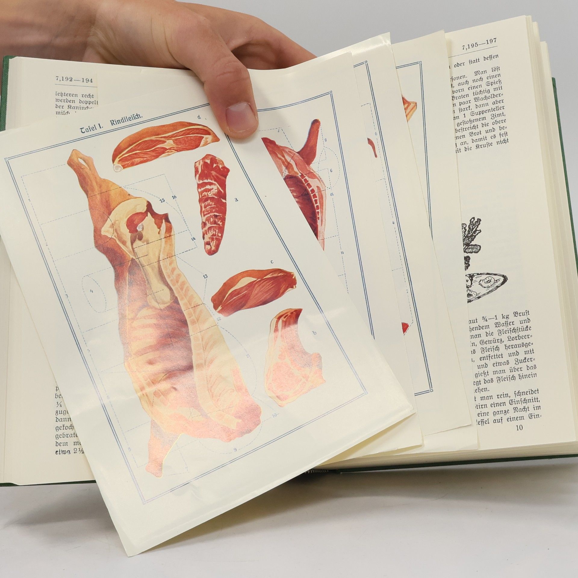 Henriette Davidis Praktisches Kochbuch