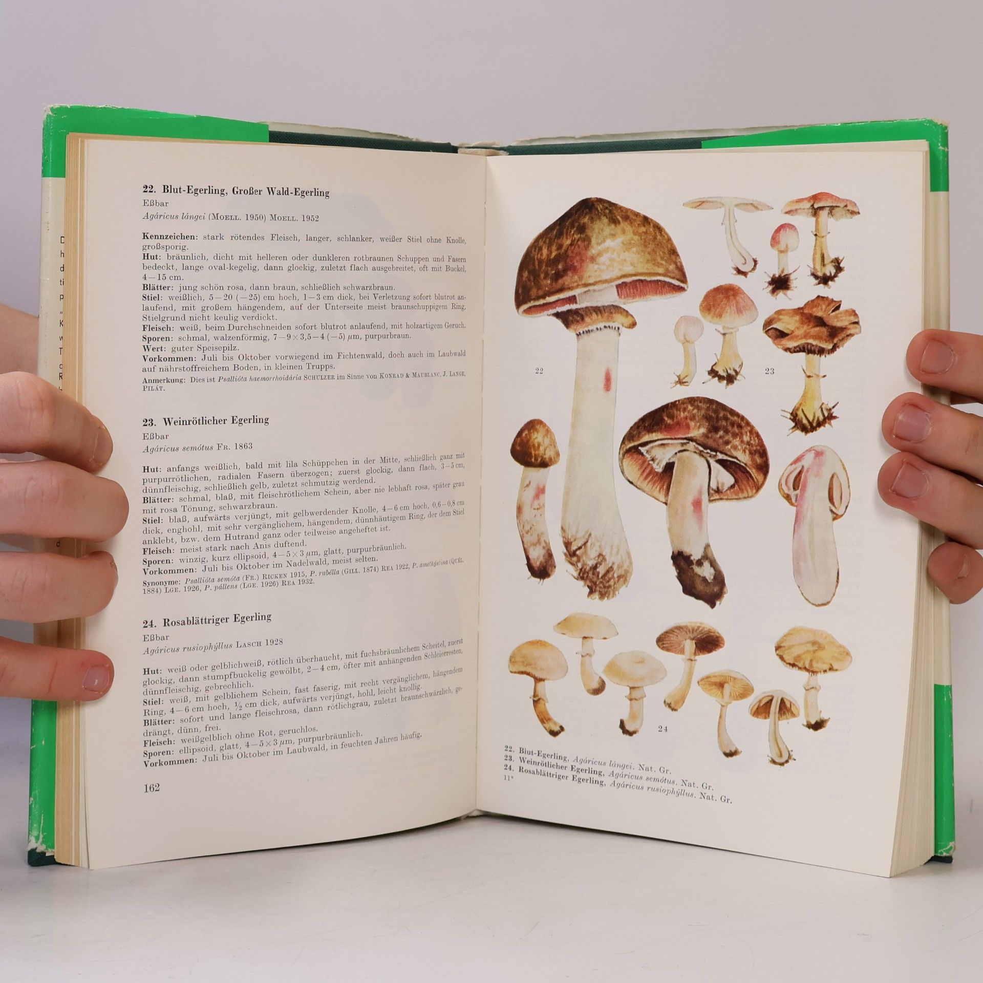 Kolektiv autorů Handbuch für Pilzfreunde I-VI