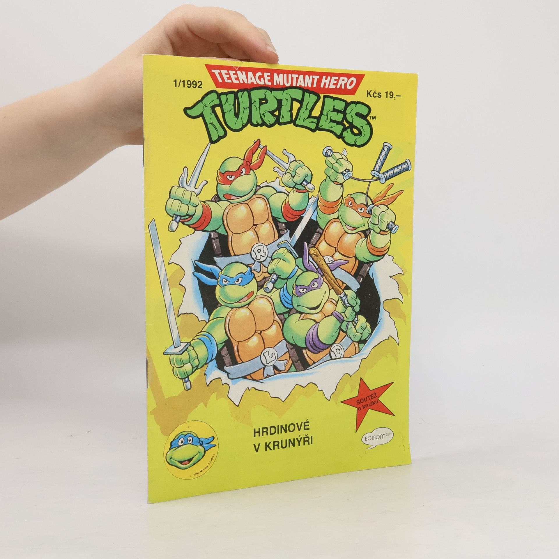 Michael Dooney Teenage Mutant Hero Turtles #01