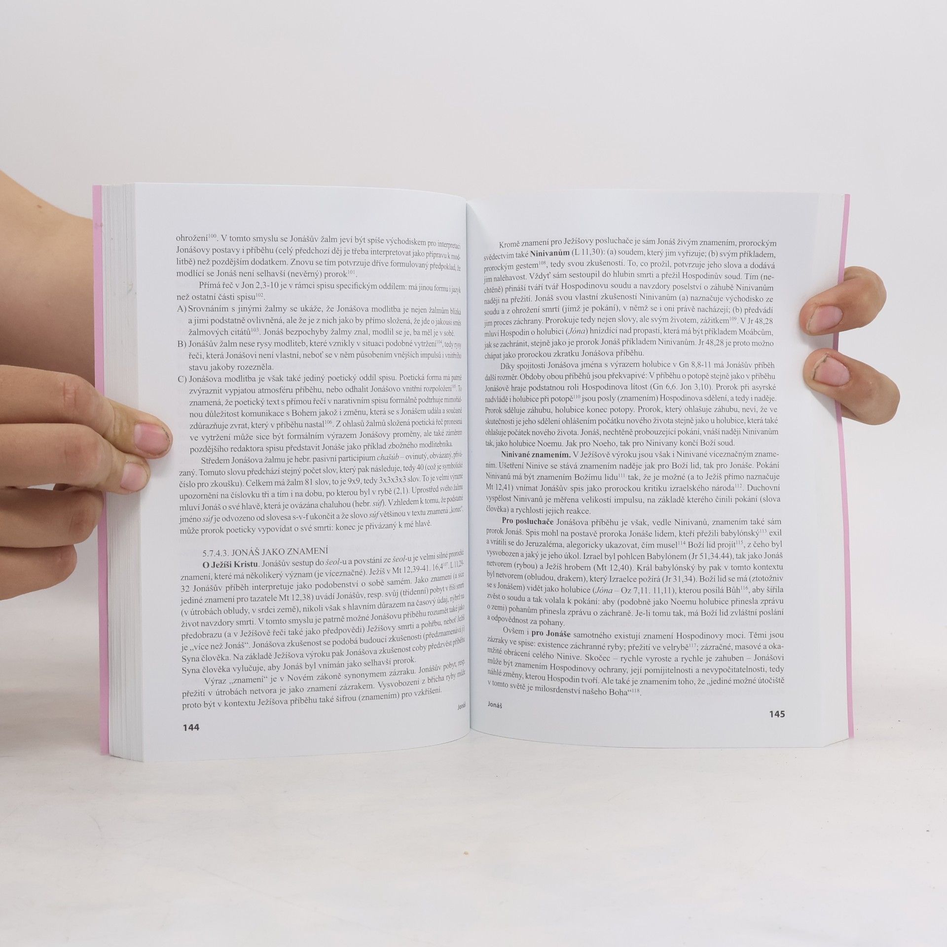 Jiří Beneš Dvanáctka. Úvod do studia Malých proroků