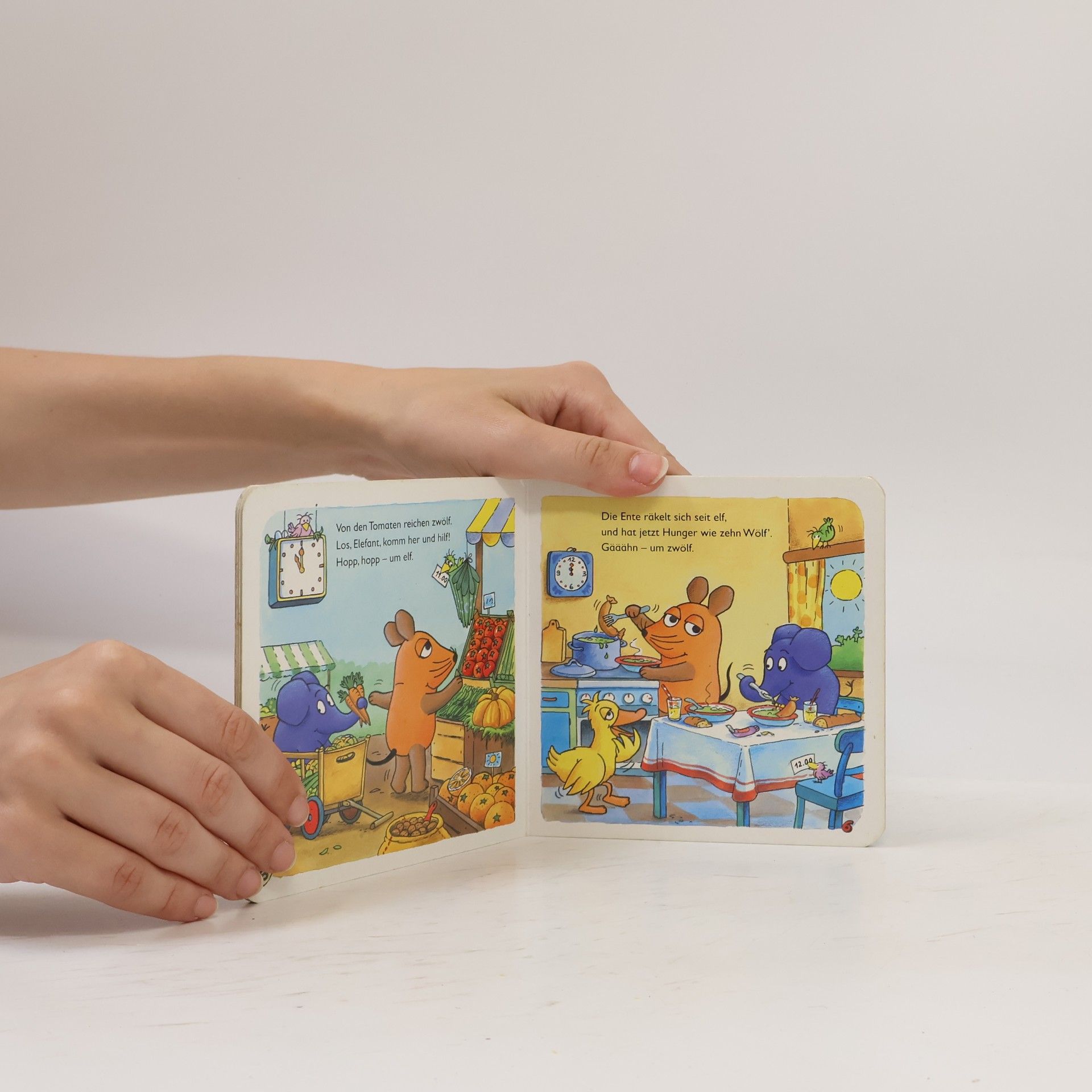 Ina Steinmetz Die Maus: Ein Tag mit der Maus