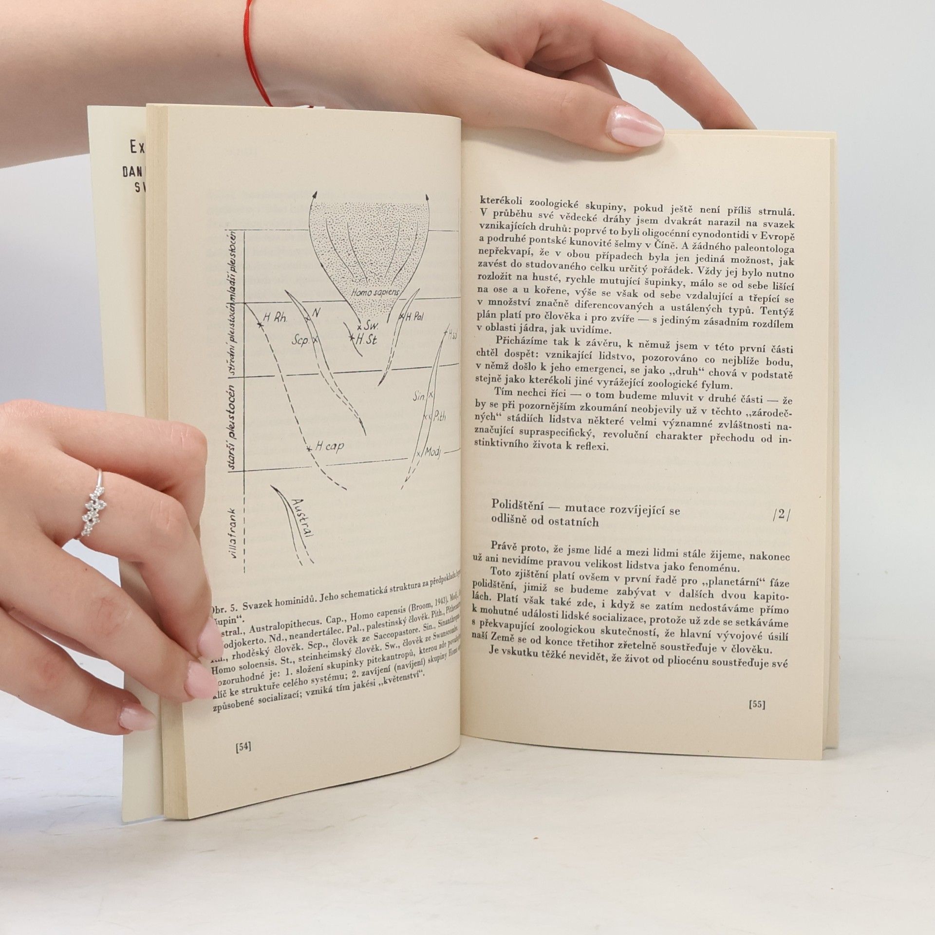 Pierre Teilhard de Chardin Místo člověka v přírodě: Výbor studií