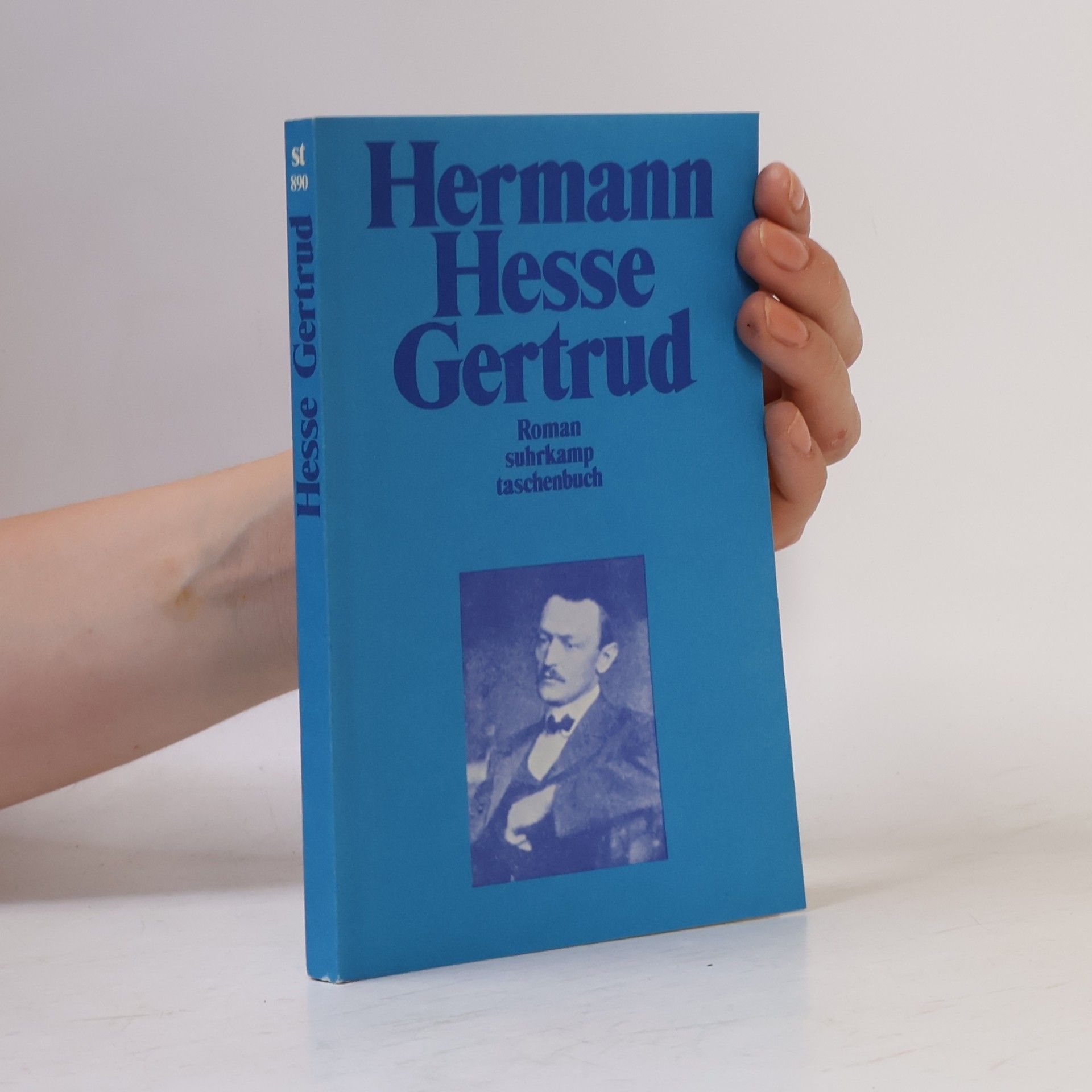 Hermann Hesse Gertrud